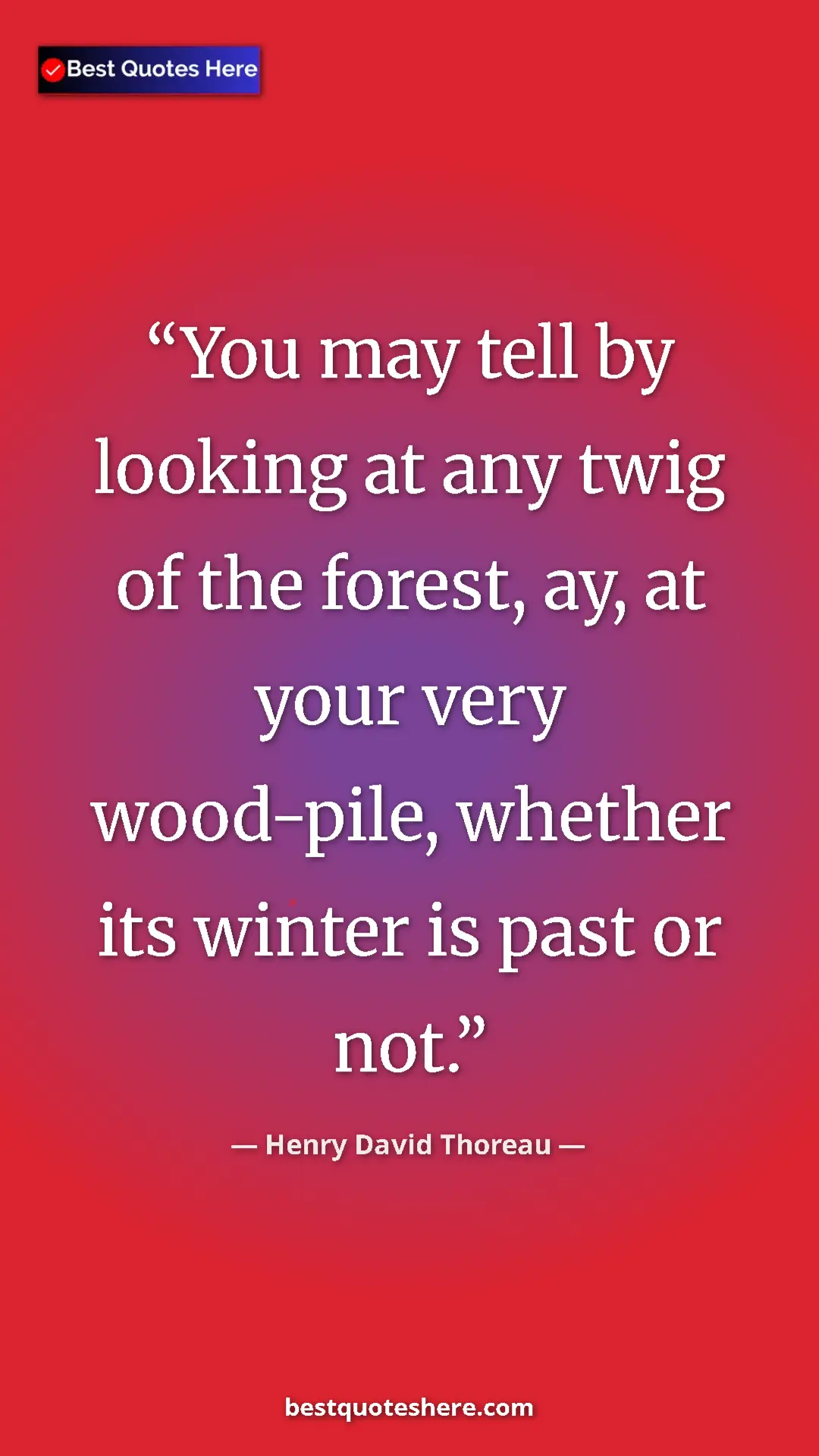 Henry David Thoreau Quote Card: "You may tell by looking at any twig of the forest, ay, at..." Pinterest quote poster by Henry David Thoreau: "You may tell by looking at any twig of the forest, ay, at..."