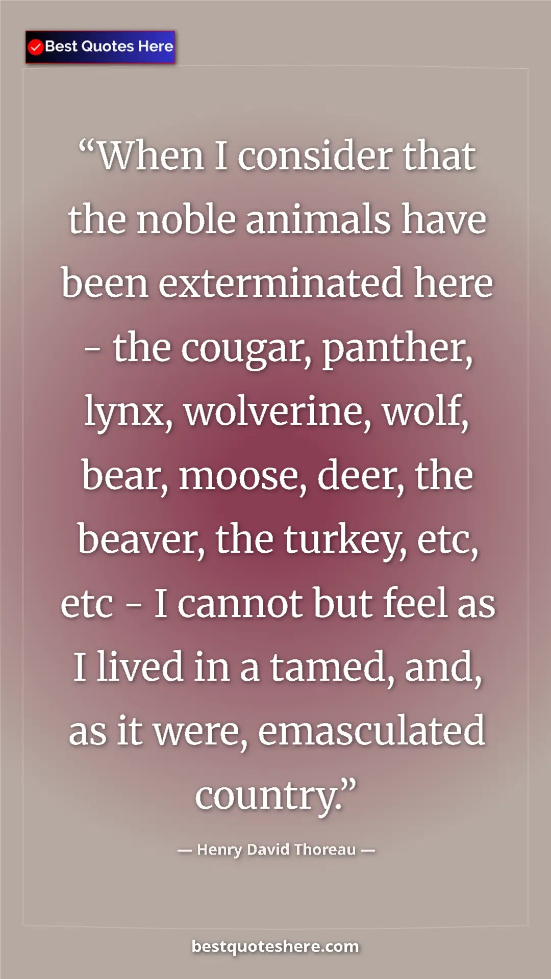 Pinterest quote poster by Henry David Thoreau: "When I consider that the noble animals have been..."