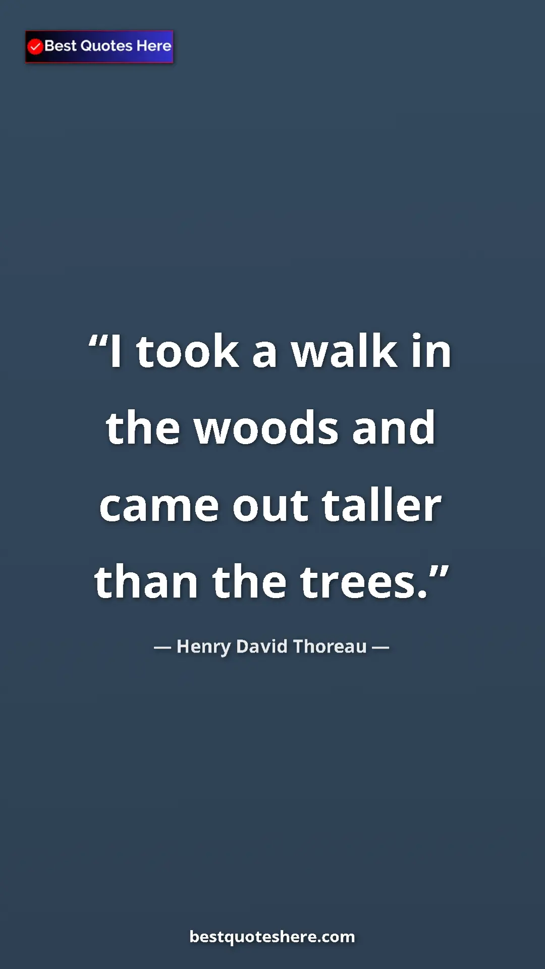 Henry David Thoreau Quote Card: "I took a walk in the woods and came out taller than the..." Pinterest quote poster by Henry David Thoreau: "I took a walk in the woods and came out taller than the..."