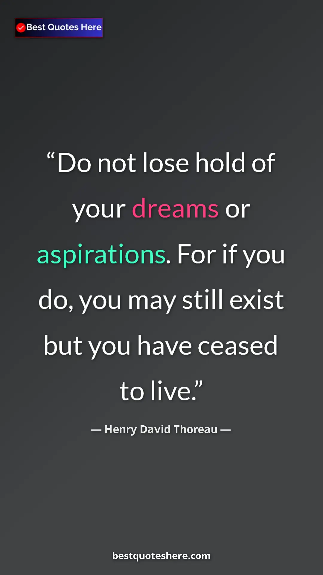 Henry David Thoreau Quote Card: "Do not lose hold of your dreams or aspirations. For if you..." Pinterest quote poster by Henry David Thoreau: "Do not lose hold of your dreams or aspirations. For if you..."