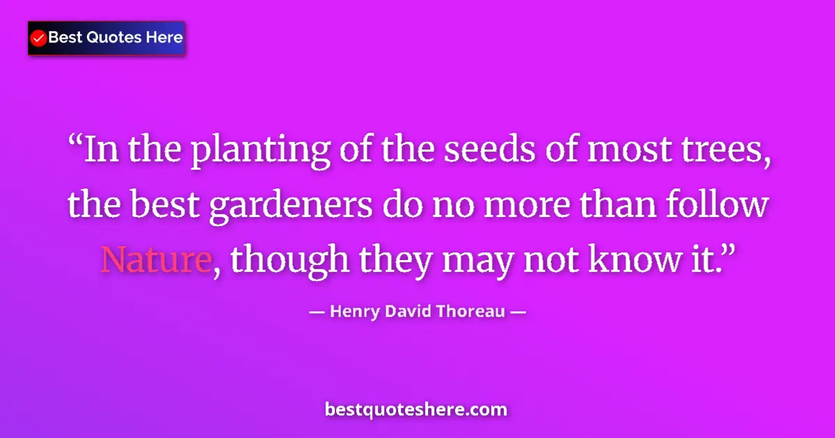Quote by Henry David Thoreau: In the planting of the seeds of most trees, the best gardeners do no more than follow Nature, though...
