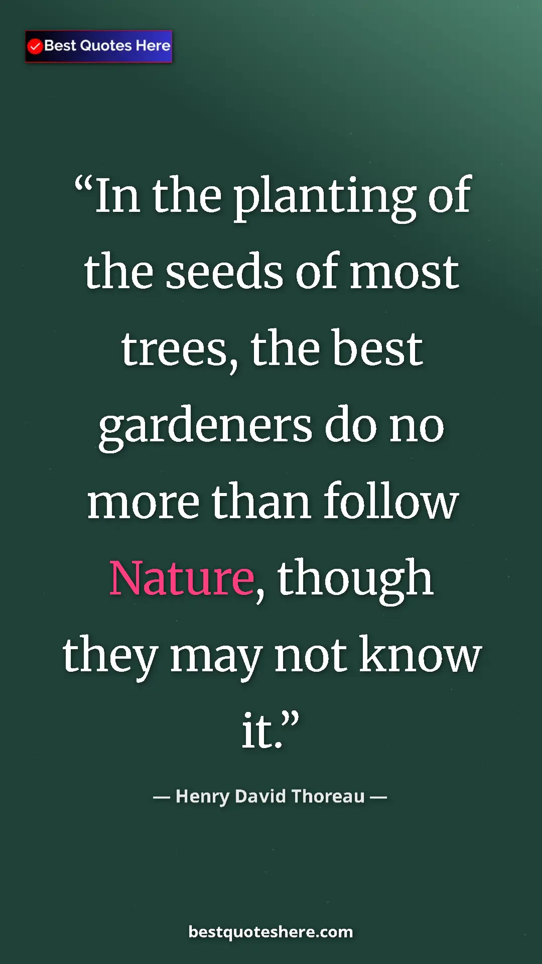 Pinterest quote poster by Henry David Thoreau: "In the planting of the seeds of most trees, the best..."