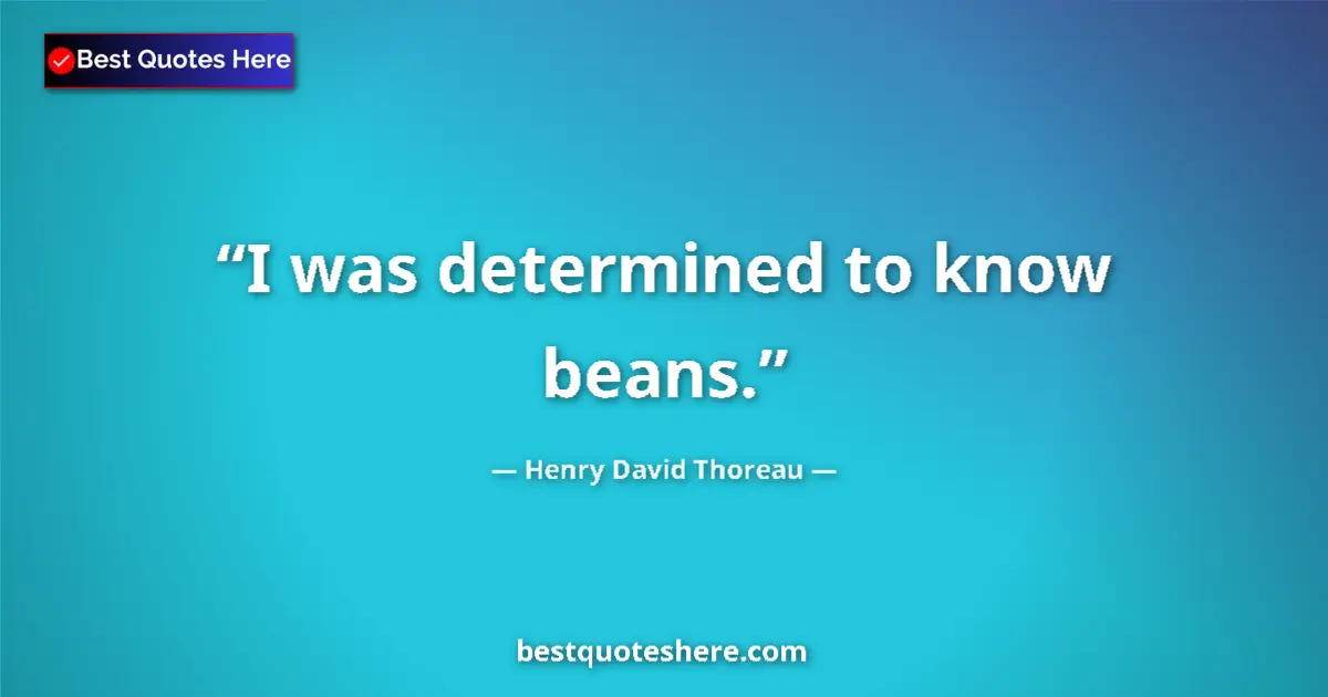 Image for the quote by Henry David Thoreau: I was determined to know beans....