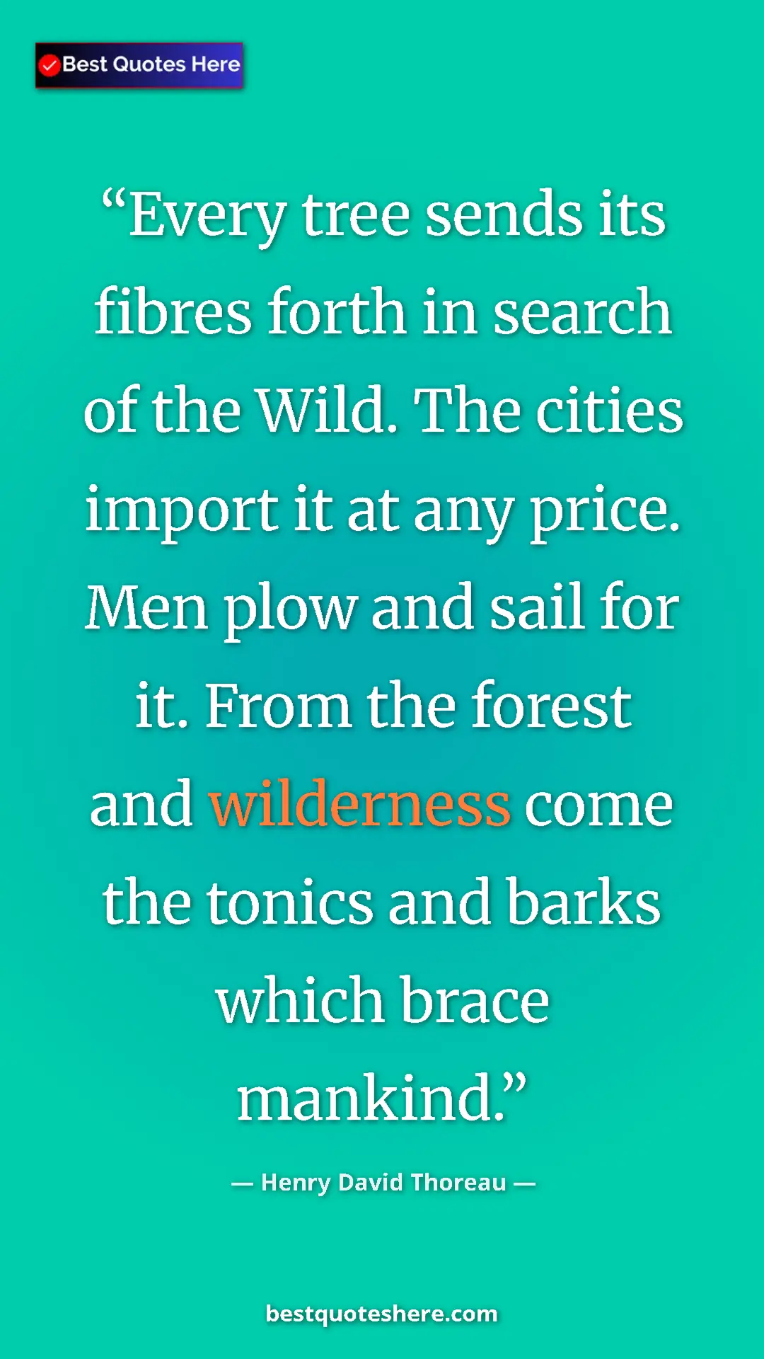 Henry David Thoreau Quote Card: "Every tree sends its fibres forth in search of the Wild...." Pinterest quote poster by Henry David Thoreau: "Every tree sends its fibres forth in search of the Wild...."
