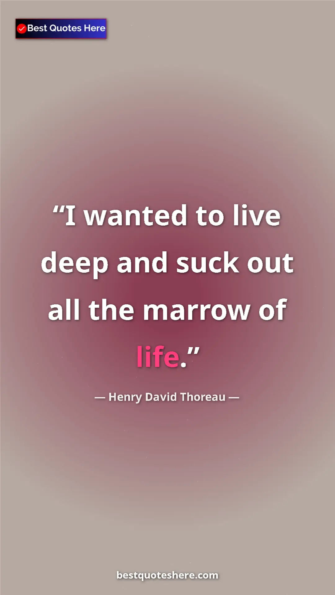 Henry David Thoreau Quote Card: "I wanted to live deep and suck out all the marrow of life." Pinterest quote poster by Henry David Thoreau: "I wanted to live deep and suck out all the marrow of life."