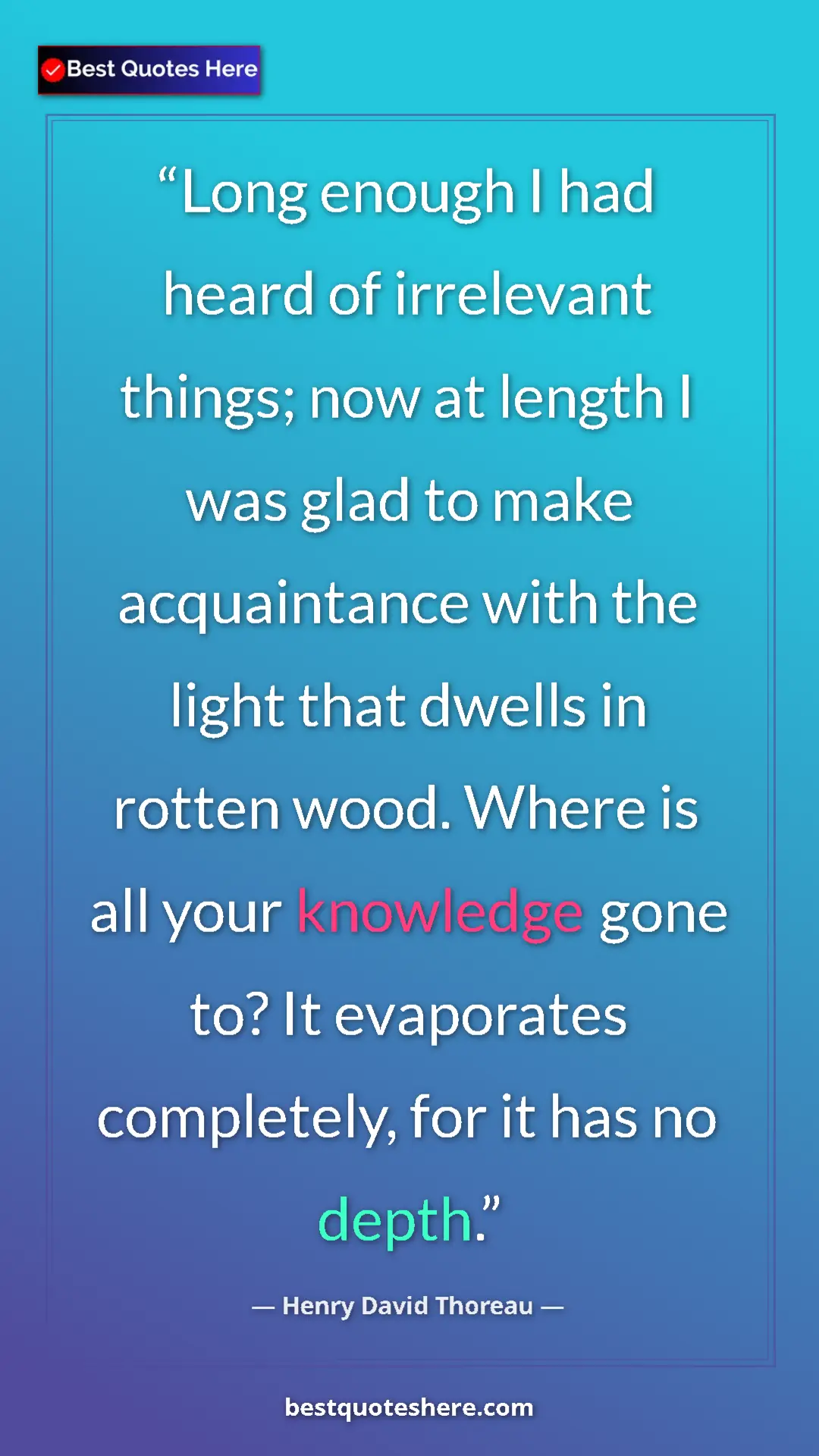Pinterest quote poster by Henry David Thoreau: "Long enough I had heard of irrelevant things; now at length..."