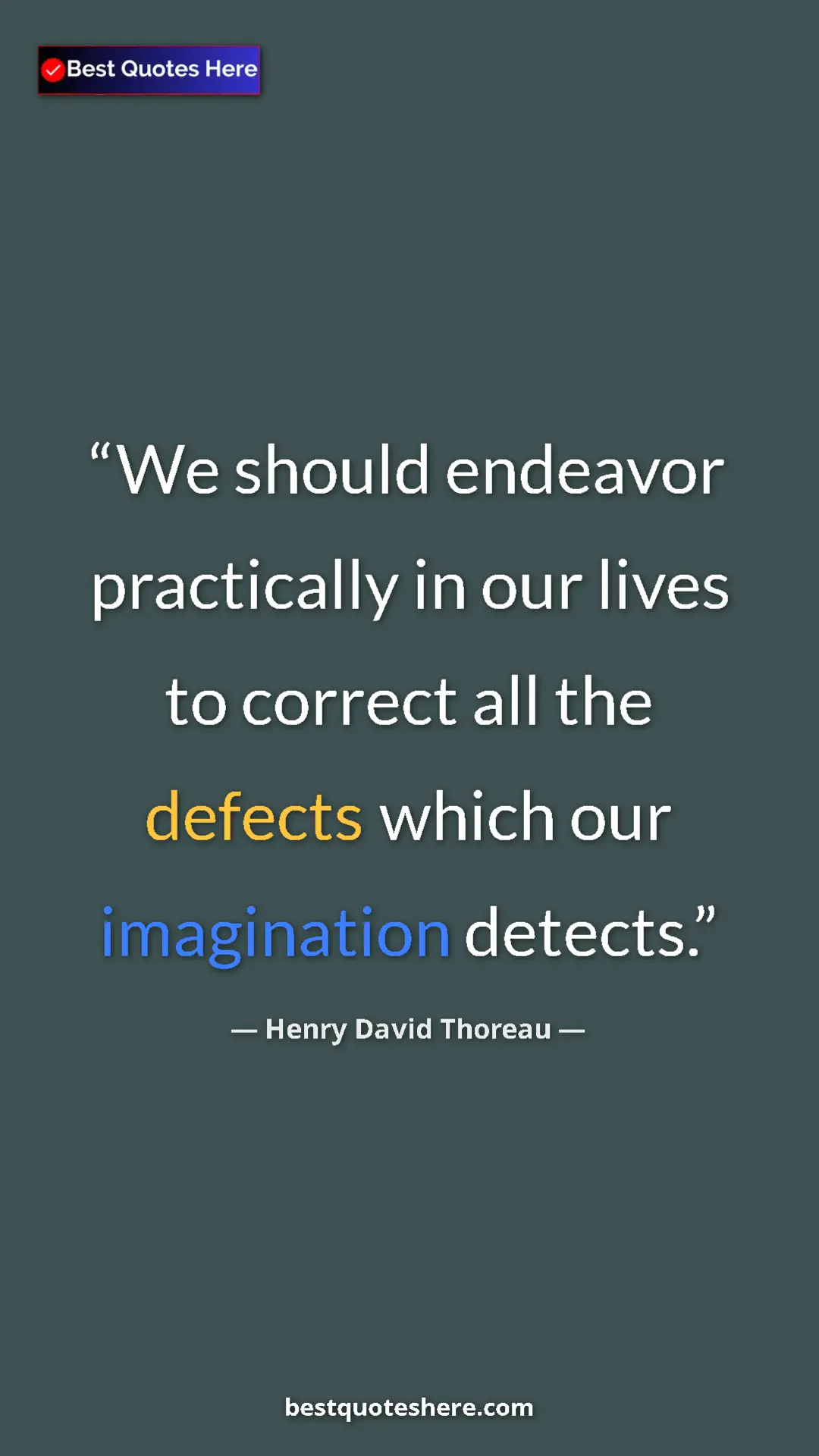 Henry David Thoreau Quote Card: "We should endeavor practically in our lives to correct all..." Pinterest quote poster by Henry David Thoreau: "We should endeavor practically in our lives to correct all..."