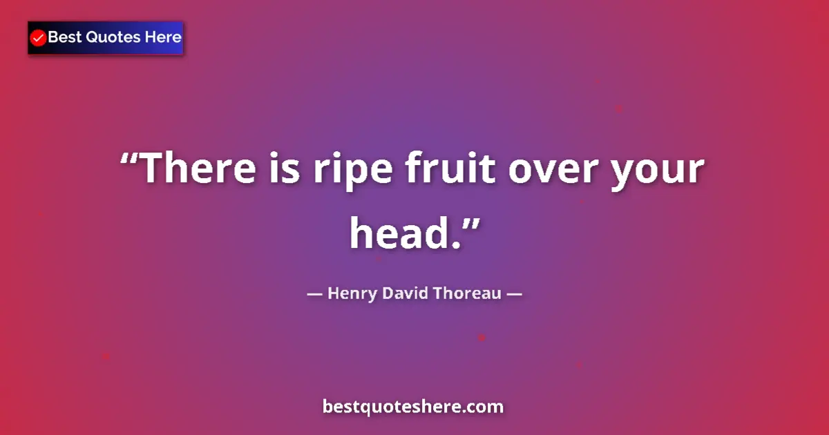 Henry David Thoreau Quote: "There is ripe fruit over your head." Henry David Thoreau quote: "There is ripe fruit over your head."