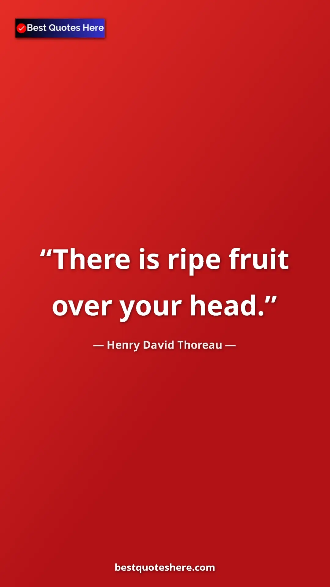 Henry David Thoreau Quote Card: "There is ripe fruit over your head." Pinterest quote poster by Henry David Thoreau: "There is ripe fruit over your head."