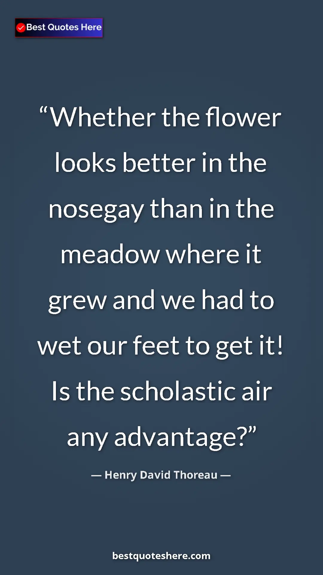 Henry David Thoreau Quote Card: "Whether the flower looks better in the nosegay than in the..." Pinterest quote poster by Henry David Thoreau: "Whether the flower looks better in the nosegay than in the..."