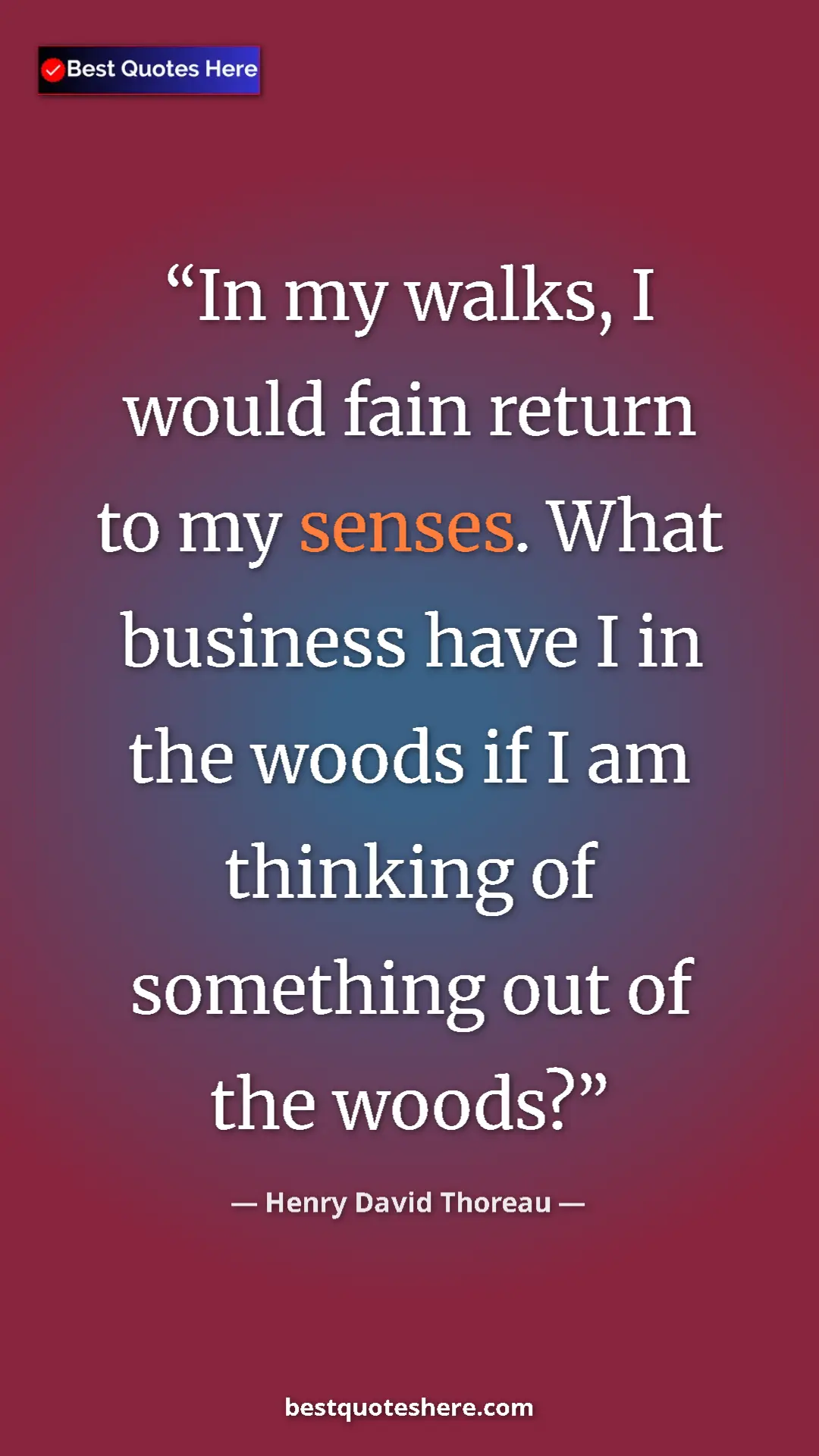 Henry David Thoreau Quote Card: "In my walks, I would fain return to my senses. What..." Pinterest quote poster by Henry David Thoreau: "In my walks, I would fain return to my senses. What..."