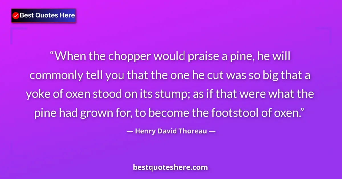 Quote by Henry David Thoreau: When the chopper would praise a pine, he will comm