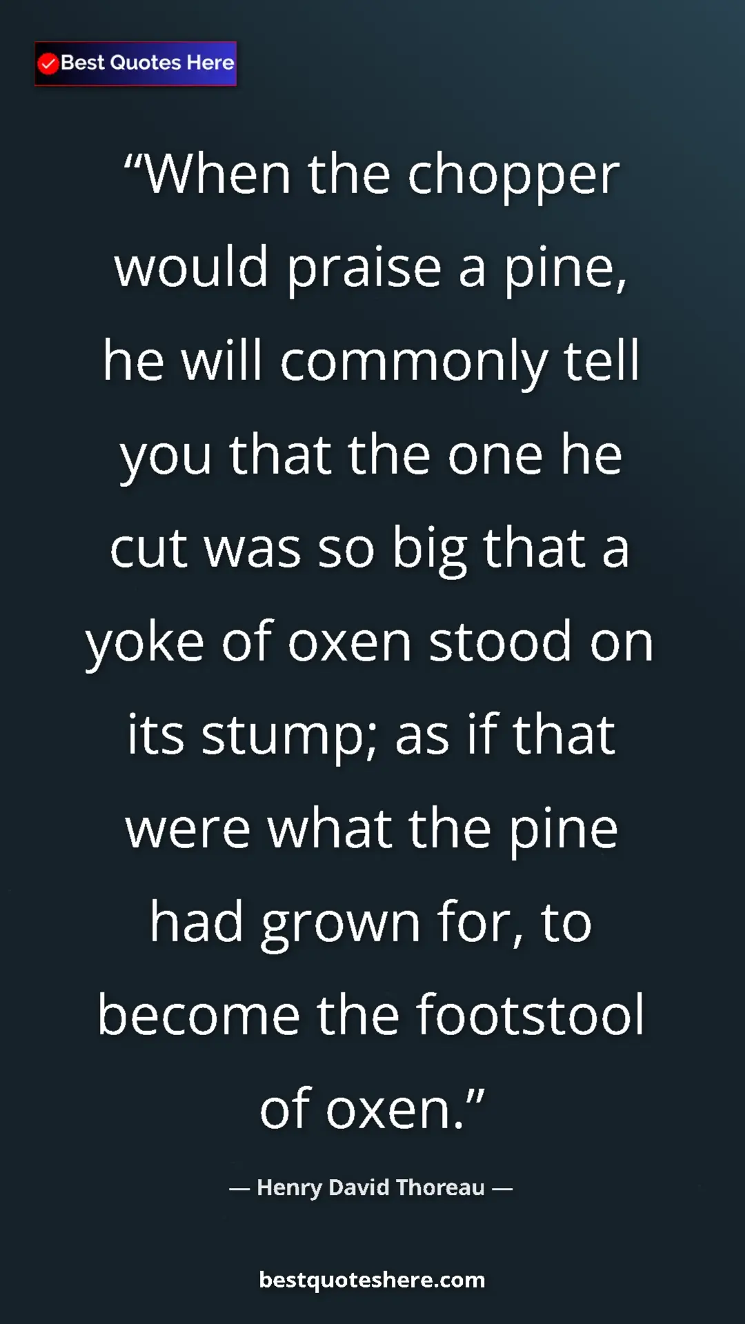 Henry David Thoreau Quote Card: "When the chopper would praise a pine, he will commonly tell..." Pinterest quote poster by Henry David Thoreau: "When the chopper would praise a pine, he will commonly tell..."