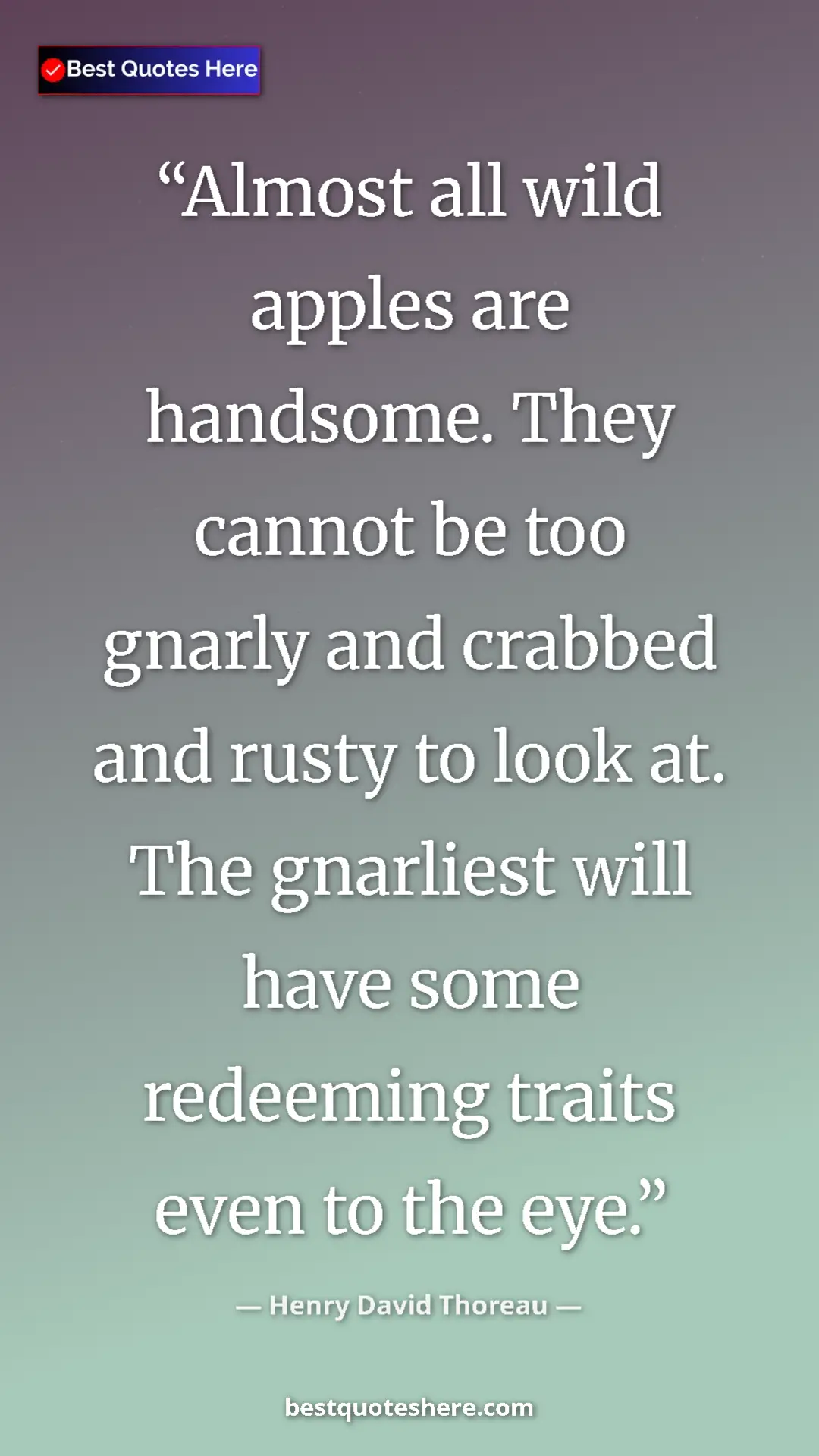Henry David Thoreau Quote Card: "Almost all wild apples are handsome. They cannot be too..." Pinterest quote poster by Henry David Thoreau: "Almost all wild apples are handsome. They cannot be too..."