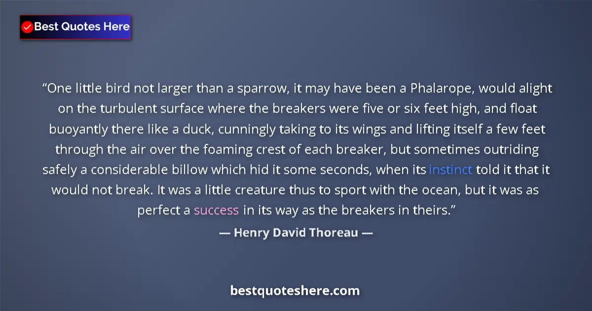 Image for the quote by Henry David Thoreau: One little bird not larger than a sparrow, it may have been a Phalarope, would alight on the turbule...