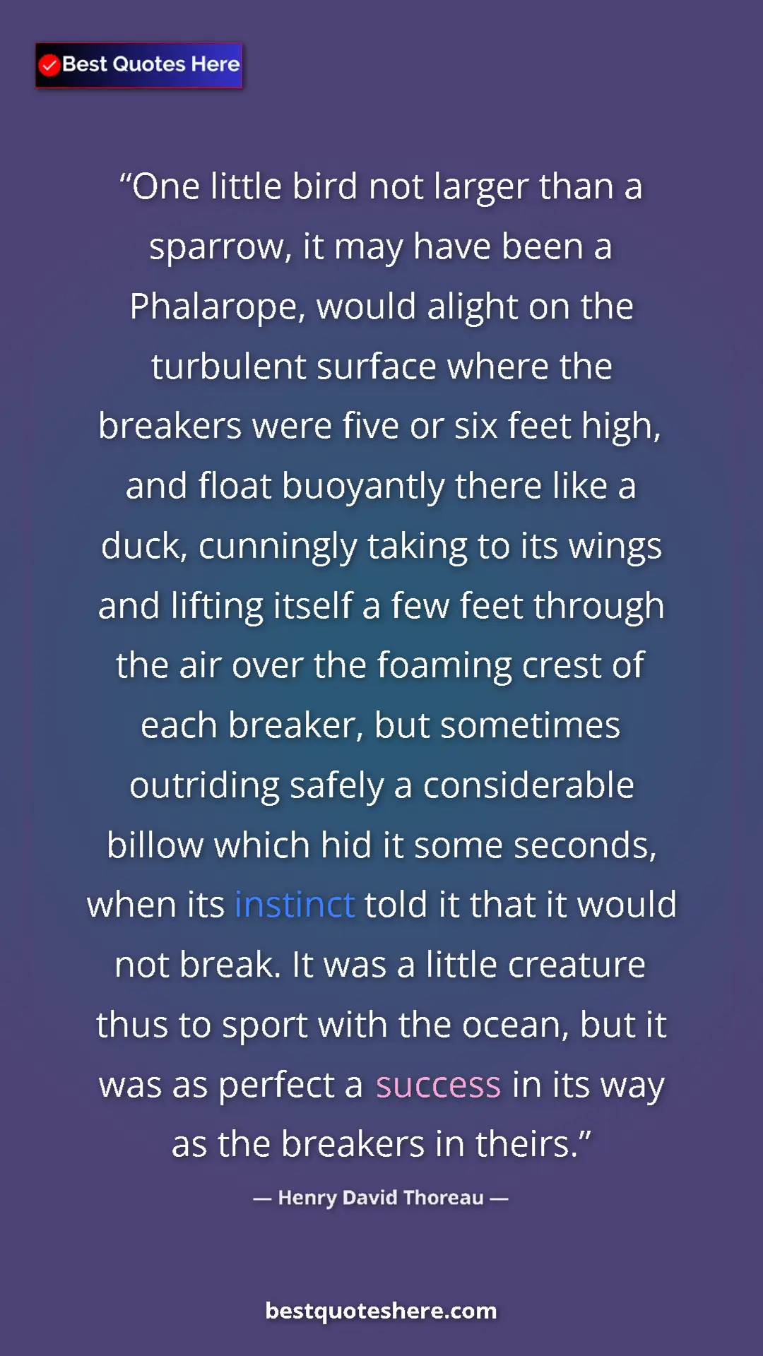 Pinterest quote poster by Henry David Thoreau: "One little bird not larger than a sparrow, it may have been..."