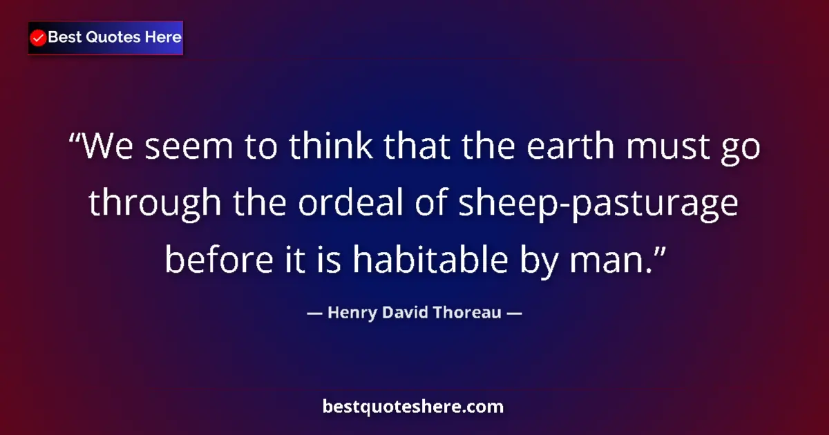 Quote by Henry David Thoreau: We seem to think that the earth must go through the ordeal of sheep-pasturage before it is habitable...