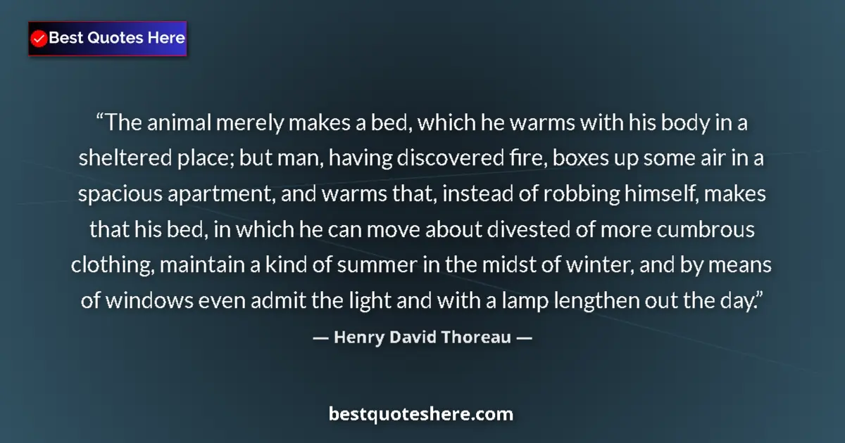 Quote by Henry David Thoreau: The animal merely makes a bed, which he warms with his body in a sheltered place; but man, having di...