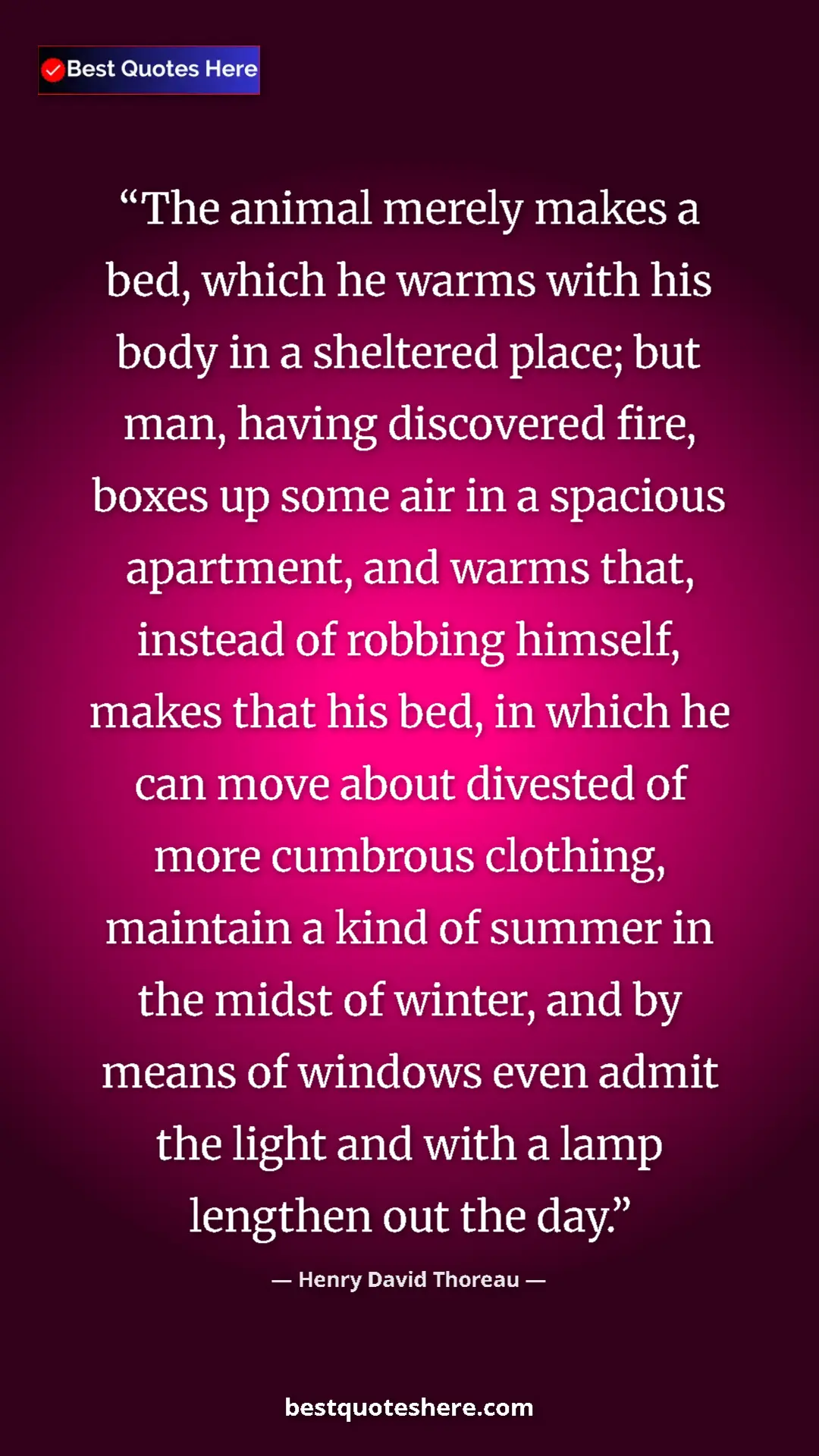 Henry David Thoreau Quote Card: "The animal merely makes a bed, which he warms with his body..." Pinterest quote poster by Henry David Thoreau: "The animal merely makes a bed, which he warms with his body..."