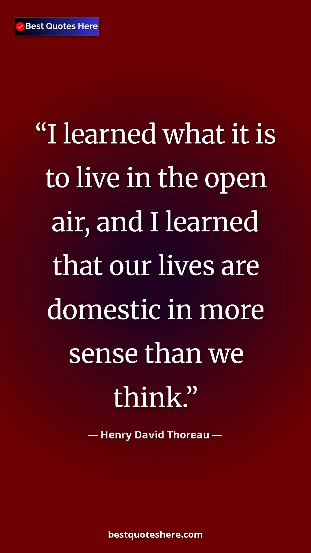 Henry David Thoreau Quote Card: "I learned what it is to live in the open air, and I learned..." Pinterest quote poster by Henry David Thoreau: "I learned what it is to live in the open air, and I learned..."