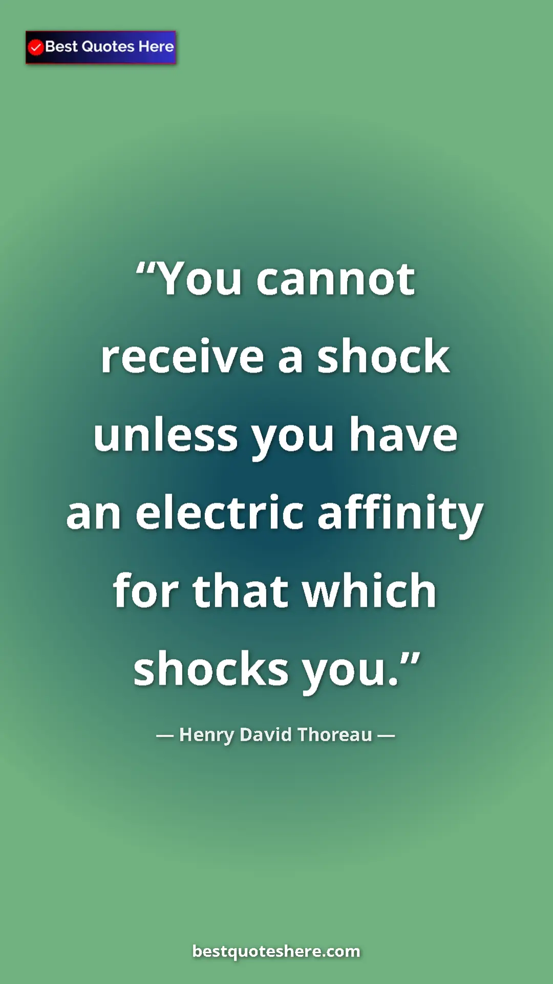 Henry David Thoreau Quote Card: "You cannot receive a shock unless you have an electric..." Pinterest quote poster by Henry David Thoreau: "You cannot receive a shock unless you have an electric..."