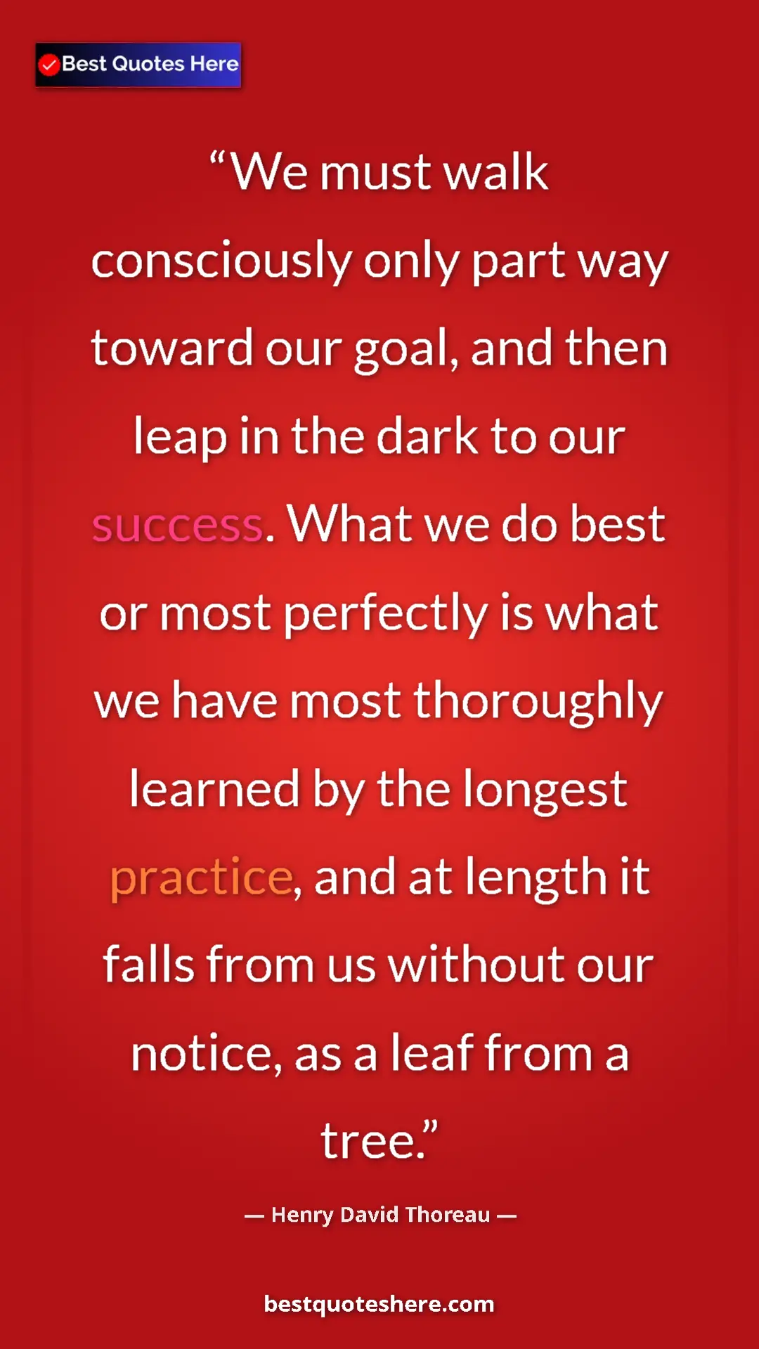 Pinterest quote poster by Henry David Thoreau: "We must walk consciously only part way toward our goal, and..."