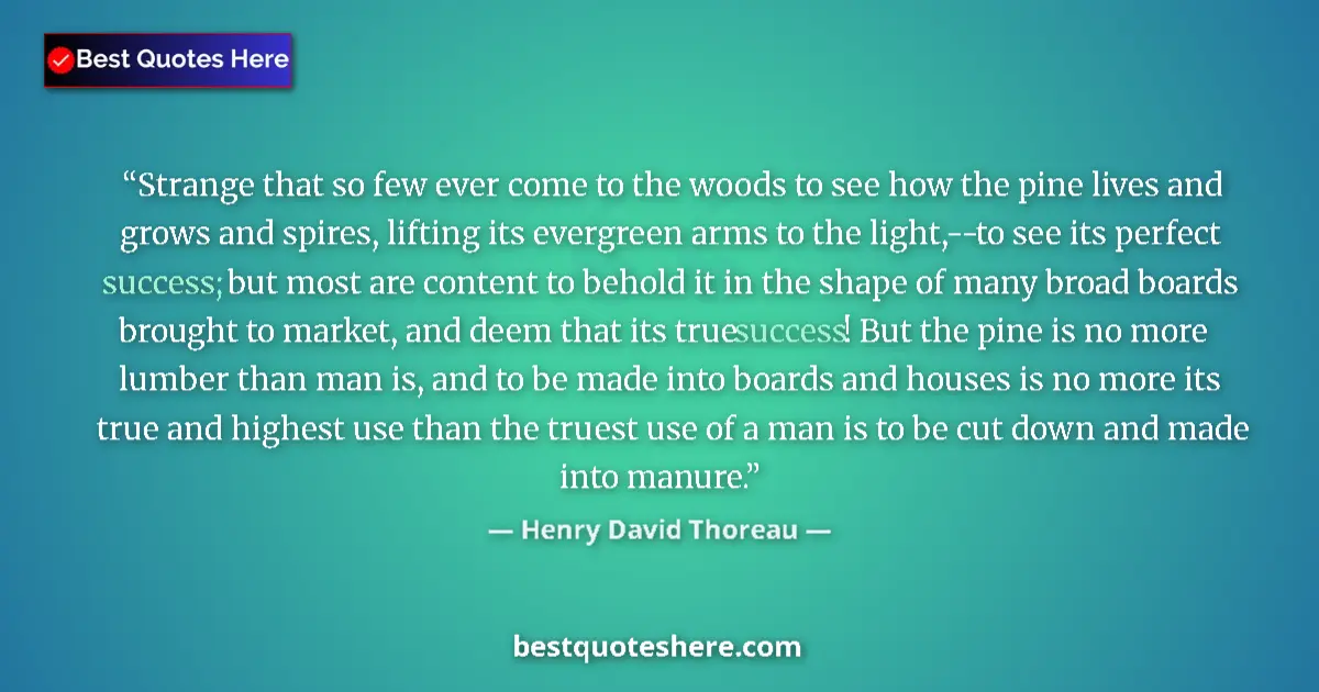 Image for the quote by Henry David Thoreau: Strange that so few ever come to the woods to see how the pine lives and grows and spires, lifting i...