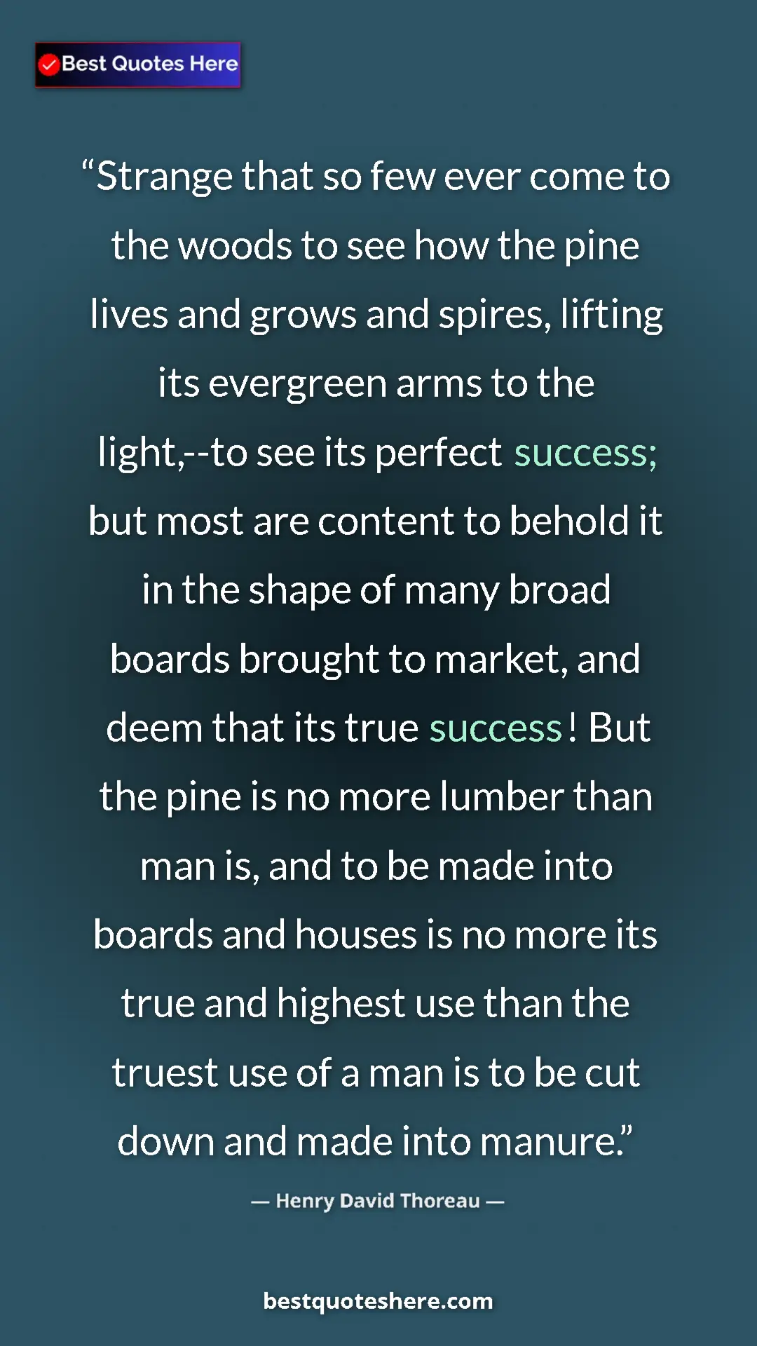 Henry David Thoreau Quote Card: "Strange that so few ever come to the woods to see how the..." Pinterest quote poster by Henry David Thoreau: "Strange that so few ever come to the woods to see how the..."