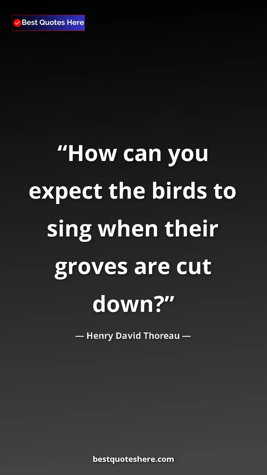 Henry David Thoreau Quote Card: "How can you expect the birds to sing when their groves are..." Pinterest quote poster by Henry David Thoreau: "How can you expect the birds to sing when their groves are..."