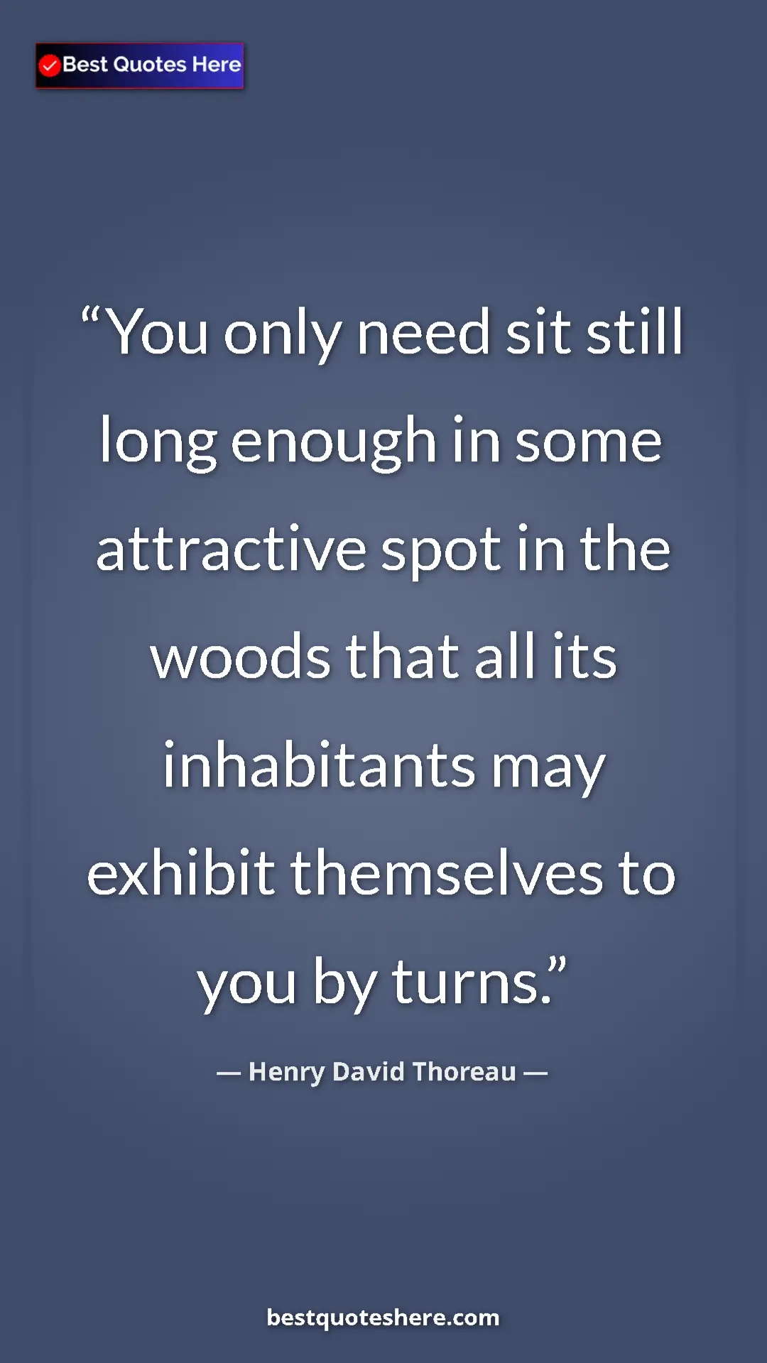 Henry David Thoreau Quote Card: "You only need sit still long enough in some attractive spot " Pinterest quote poster by Henry David Thoreau: "You only need sit still long enough in some attractive spot "