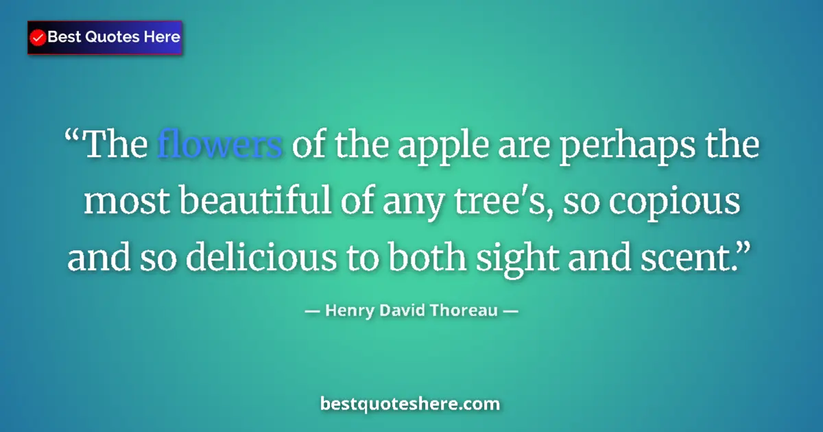 Quote by Henry David Thoreau: The flowers of the apple are perhaps the most beautiful of any tree's, so copious and so delicious t...