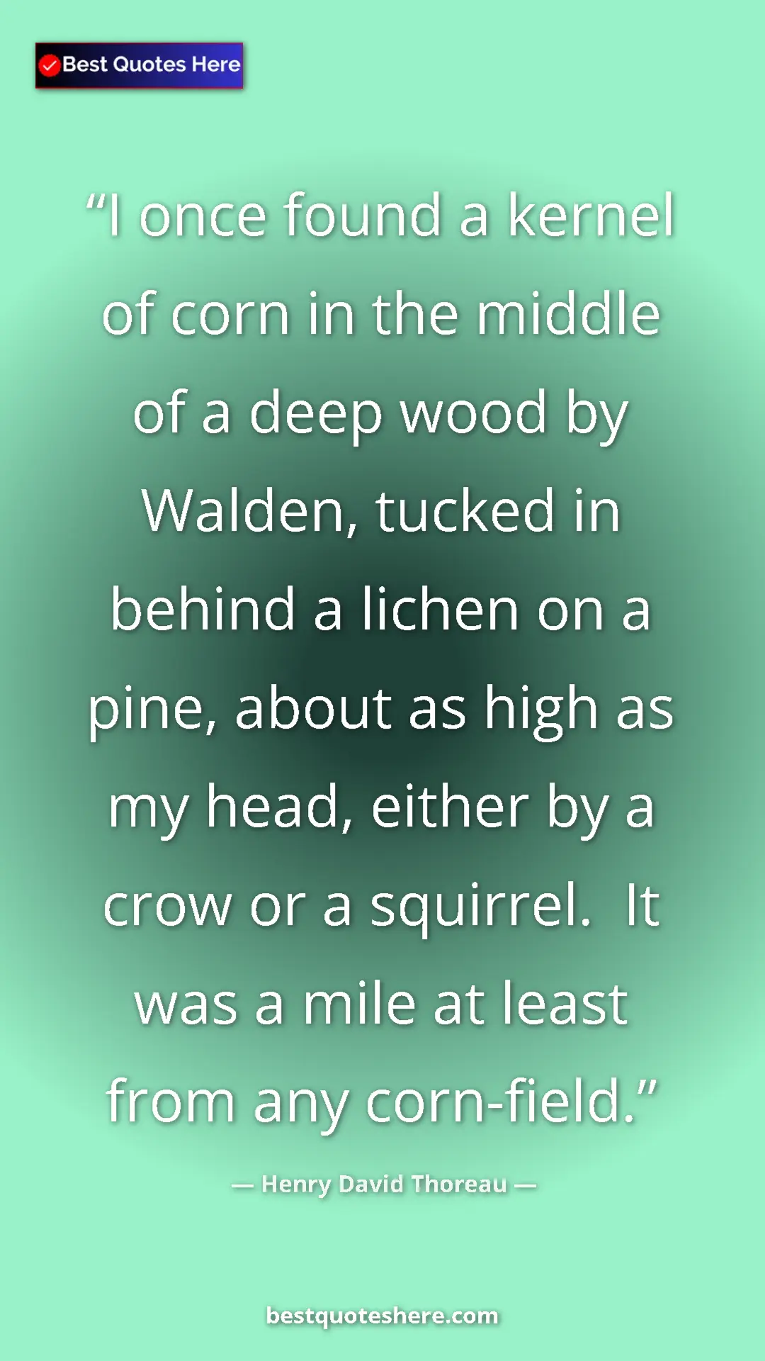 Pinterest quote poster by Henry David Thoreau: "I once found a kernel of corn in the middle of a deep wood..."