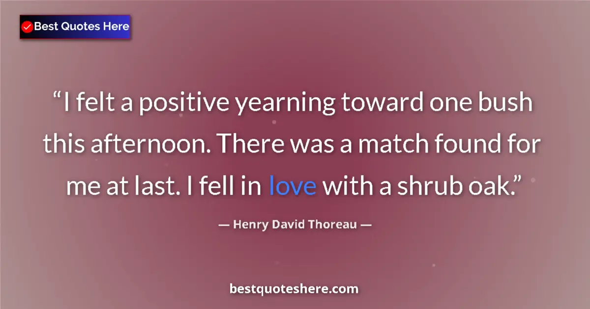 Quote by Henry David Thoreau: I felt a positive yearning toward one bush this afternoon. There was a match found for me at last. I...
