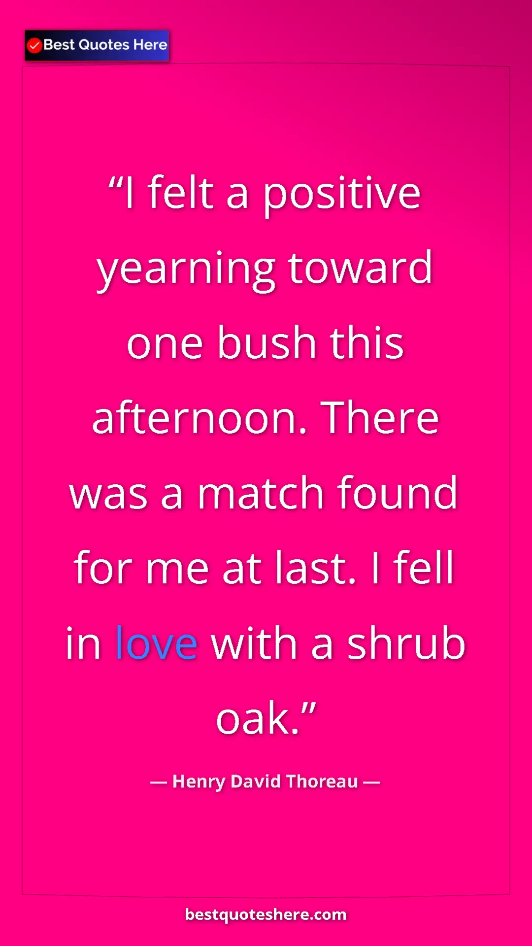 Henry David Thoreau Quote Card: "I felt a positive yearning toward one bush this afternoon...." Pinterest quote poster by Henry David Thoreau: "I felt a positive yearning toward one bush this afternoon...."