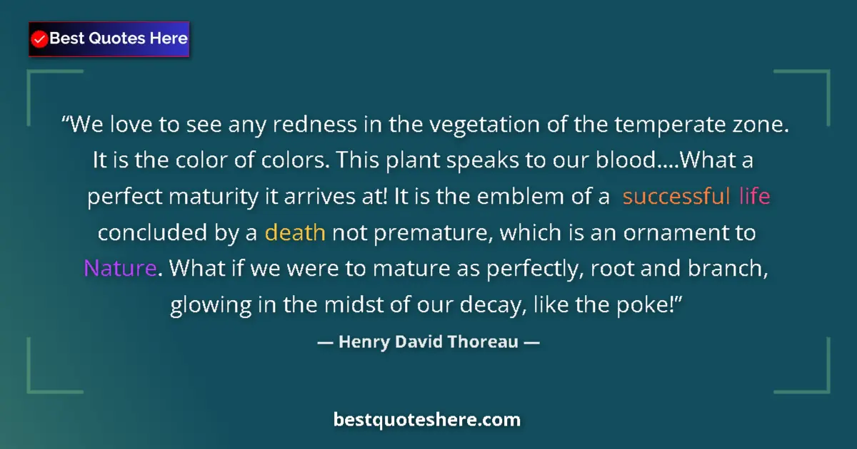 Quote by Henry David Thoreau: We love to see any redness in the vegetation of the temperate zone. It is the color of colors. This ...