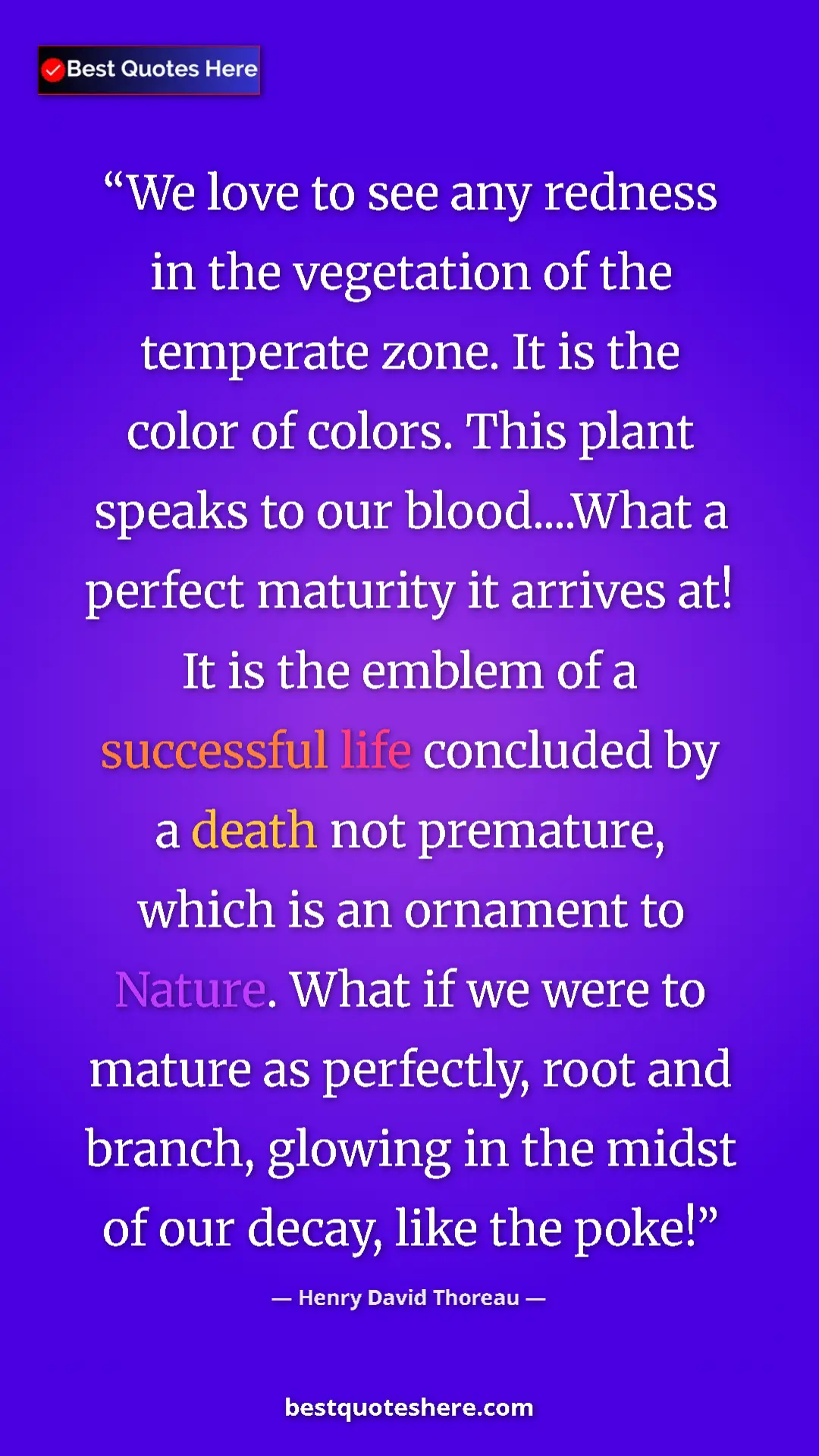 Henry David Thoreau Quote Card: "We love to see any redness in the vegetation of the..." Pinterest quote poster by Henry David Thoreau: "We love to see any redness in the vegetation of the..."