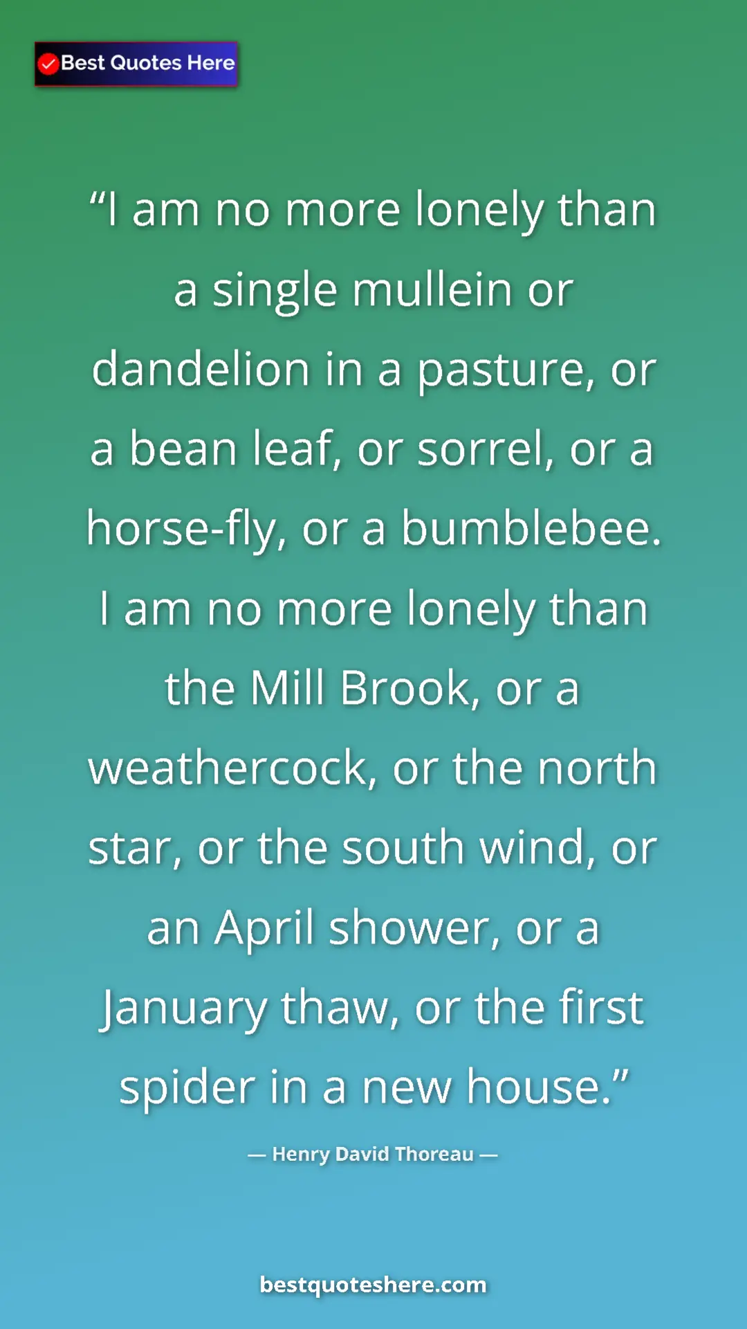 Henry David Thoreau Quote Card: "I am no more lonely than a single mullein or dandelion in a..." Pinterest quote poster by Henry David Thoreau: "I am no more lonely than a single mullein or dandelion in a..."
