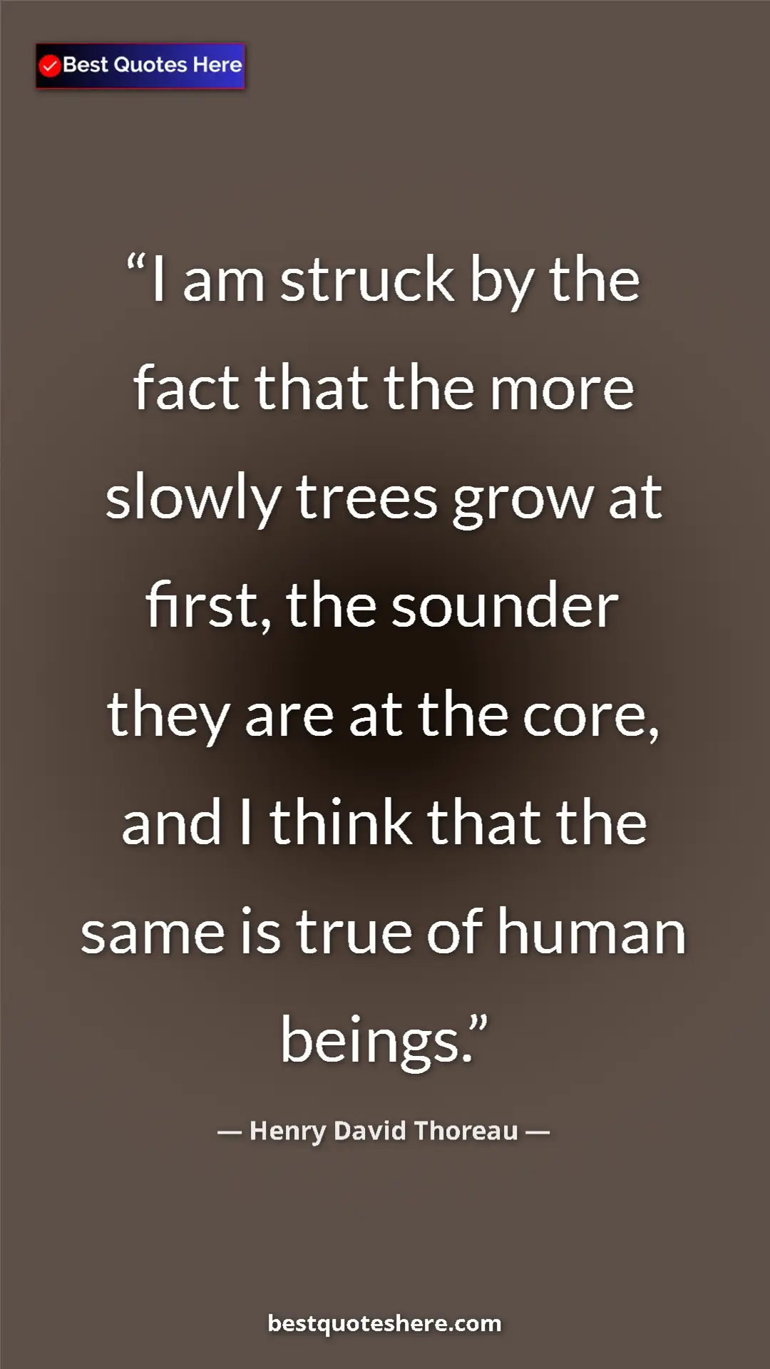 Henry David Thoreau Quote Card: "I am struck by the fact that the more slowly trees grow at..." Pinterest quote poster by Henry David Thoreau: "I am struck by the fact that the more slowly trees grow at..."
