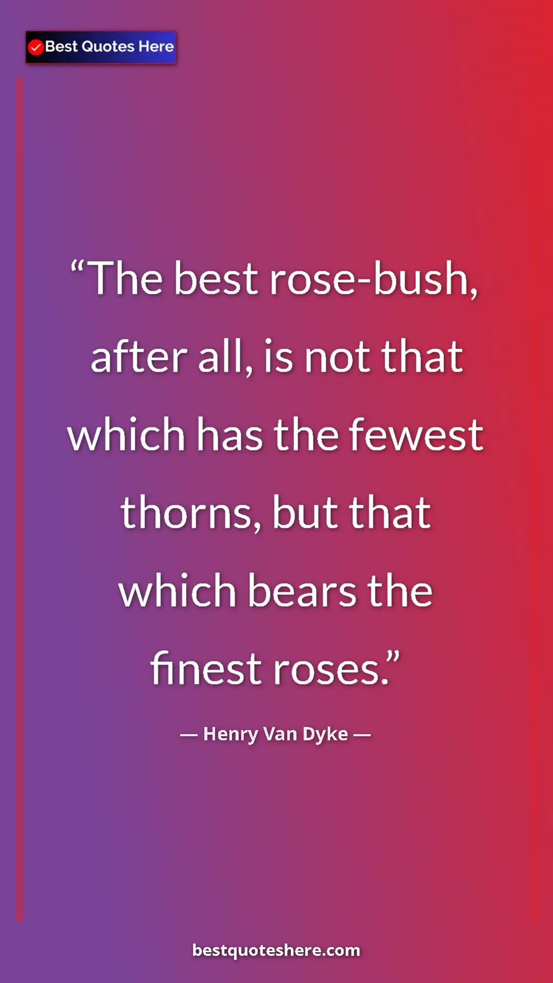 Pinterest quote poster by Henry Van Dyke: "The best rose-bush, after all, is not that which has the..."
