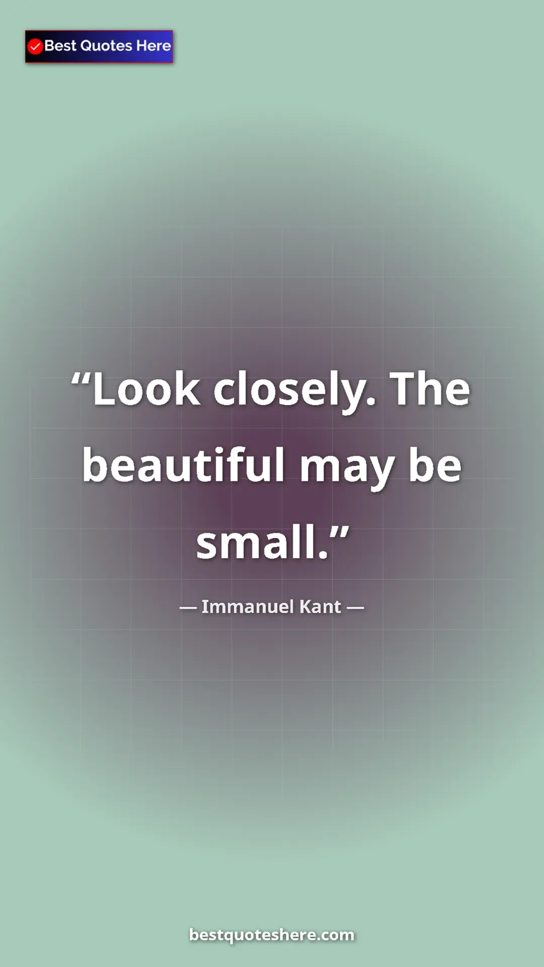 Pinterest quote poster by Immanuel Kant: "Look closely. The beautiful may be small."