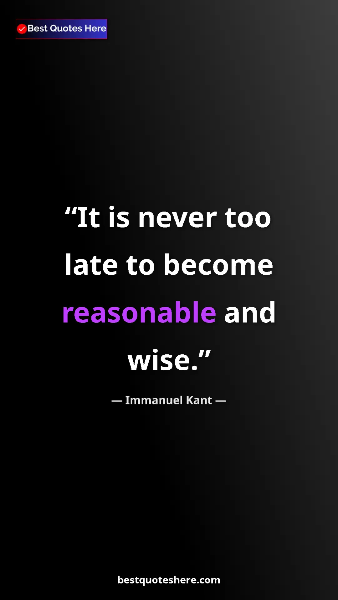 Pinterest quote poster by Immanuel Kant: "It is never too late to become reasonable and wise."