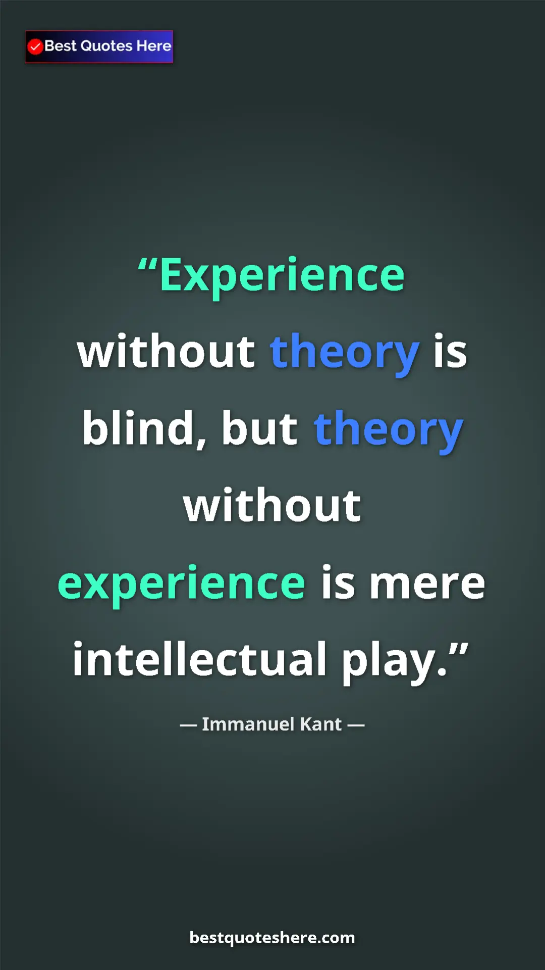 Pinterest quote poster by Immanuel Kant: "Experience without theory is blind, but theory without..."