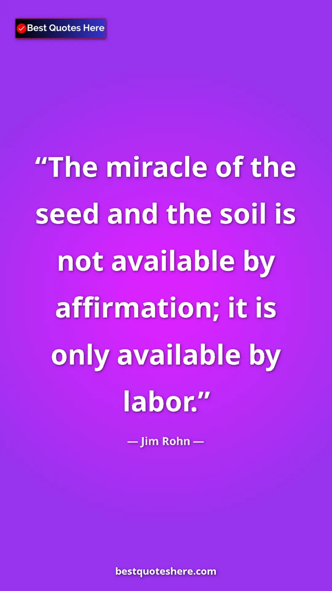 Pinterest quote poster by Jim Rohn: "The miracle of the seed and the soil is not available by..."
