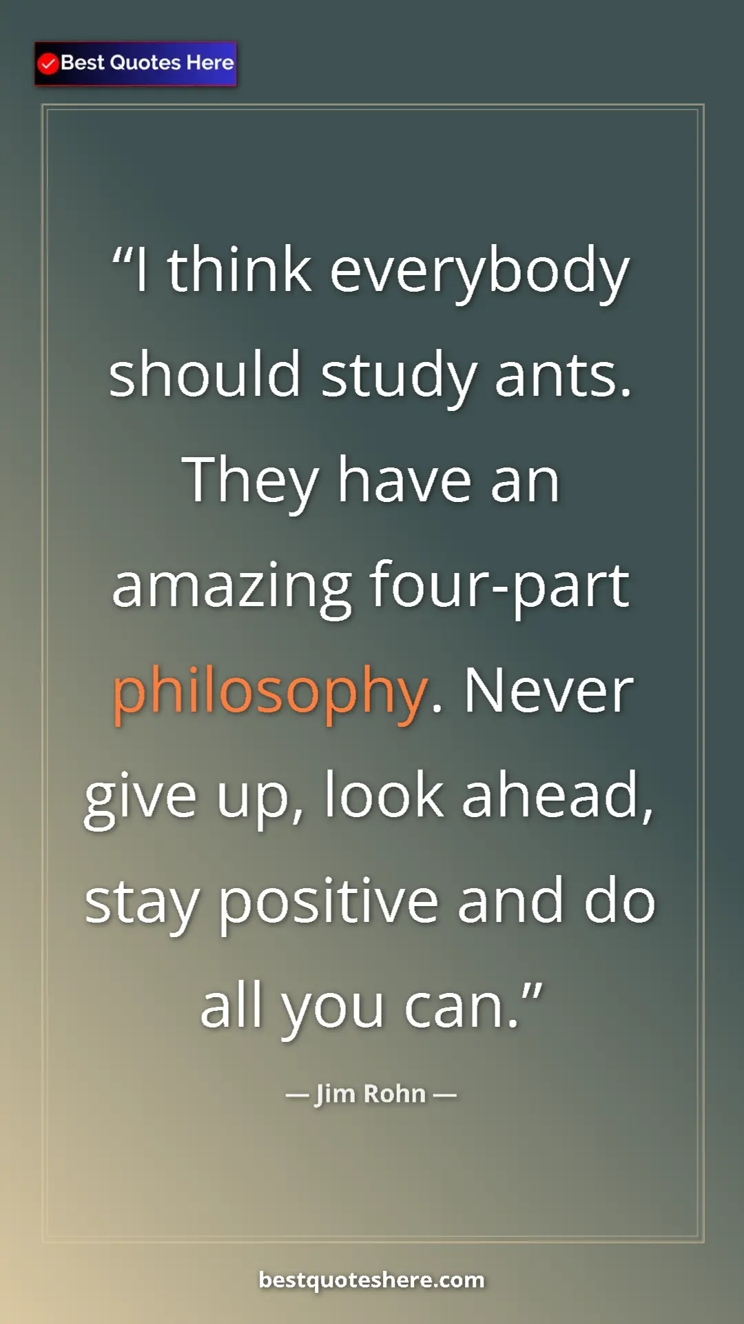 Pinterest quote poster by Jim Rohn: "I think everybody should study ants. They have an amazing..."