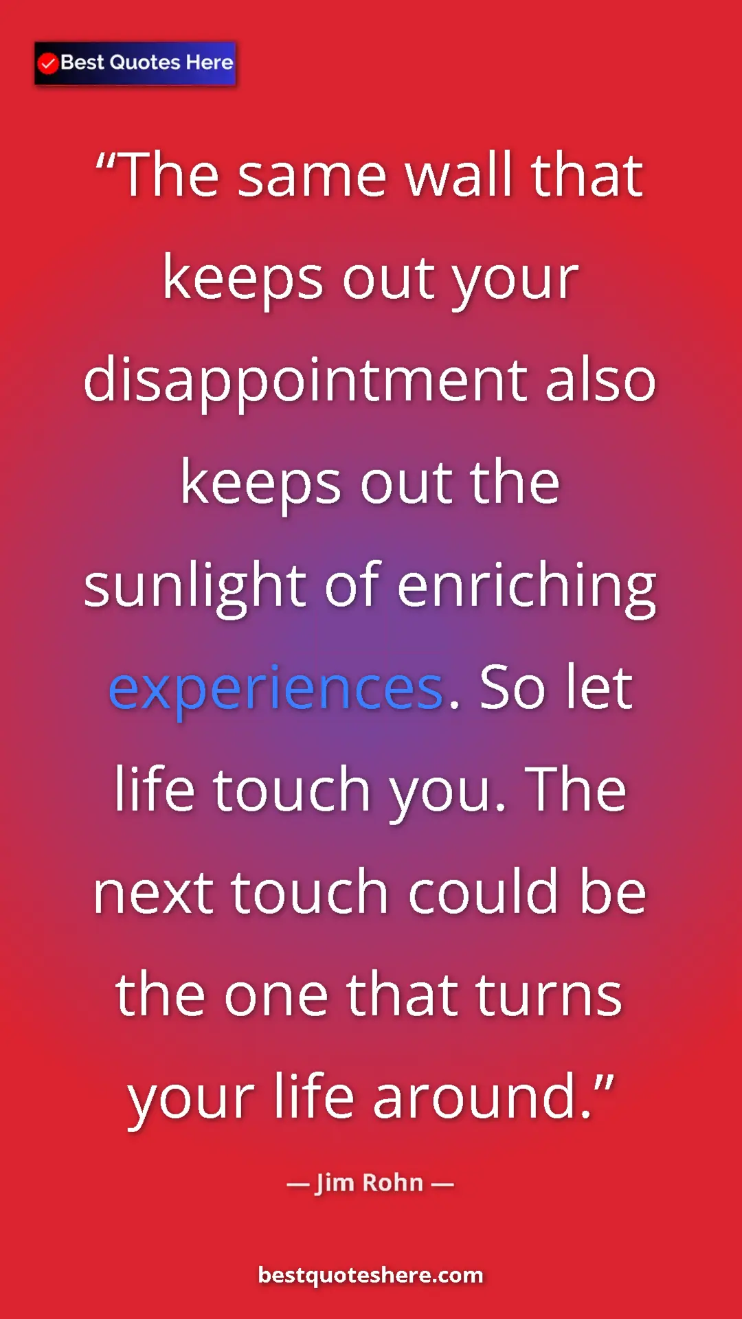 Pinterest quote poster by Jim Rohn: "The same wall that keeps out your disappointment also keeps..."