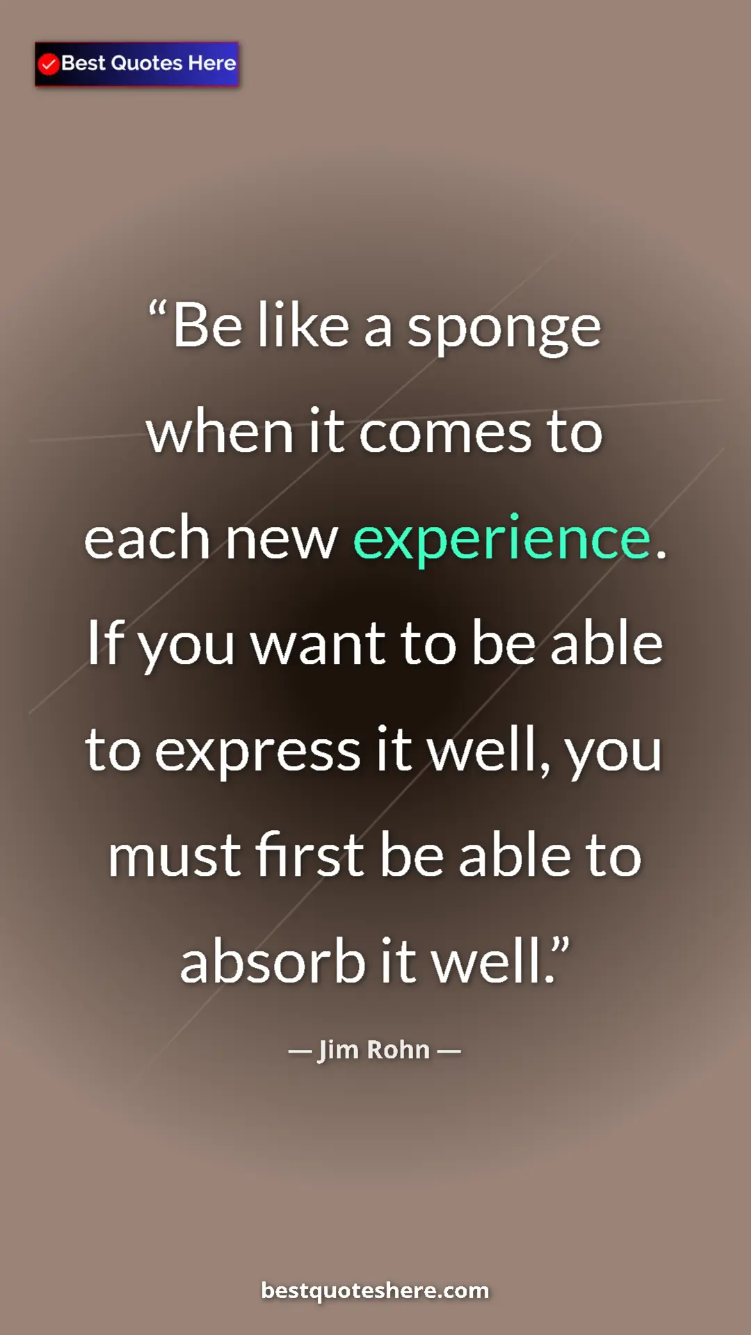 Pinterest quote poster by Jim Rohn: "Be like a sponge when it comes to each new experience. If..."