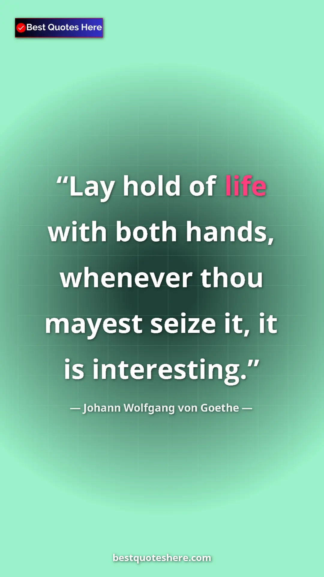 Pinterest quote poster by Johann Wolfgang von Goethe: "Lay hold of life with both hands, whenever thou mayest..."