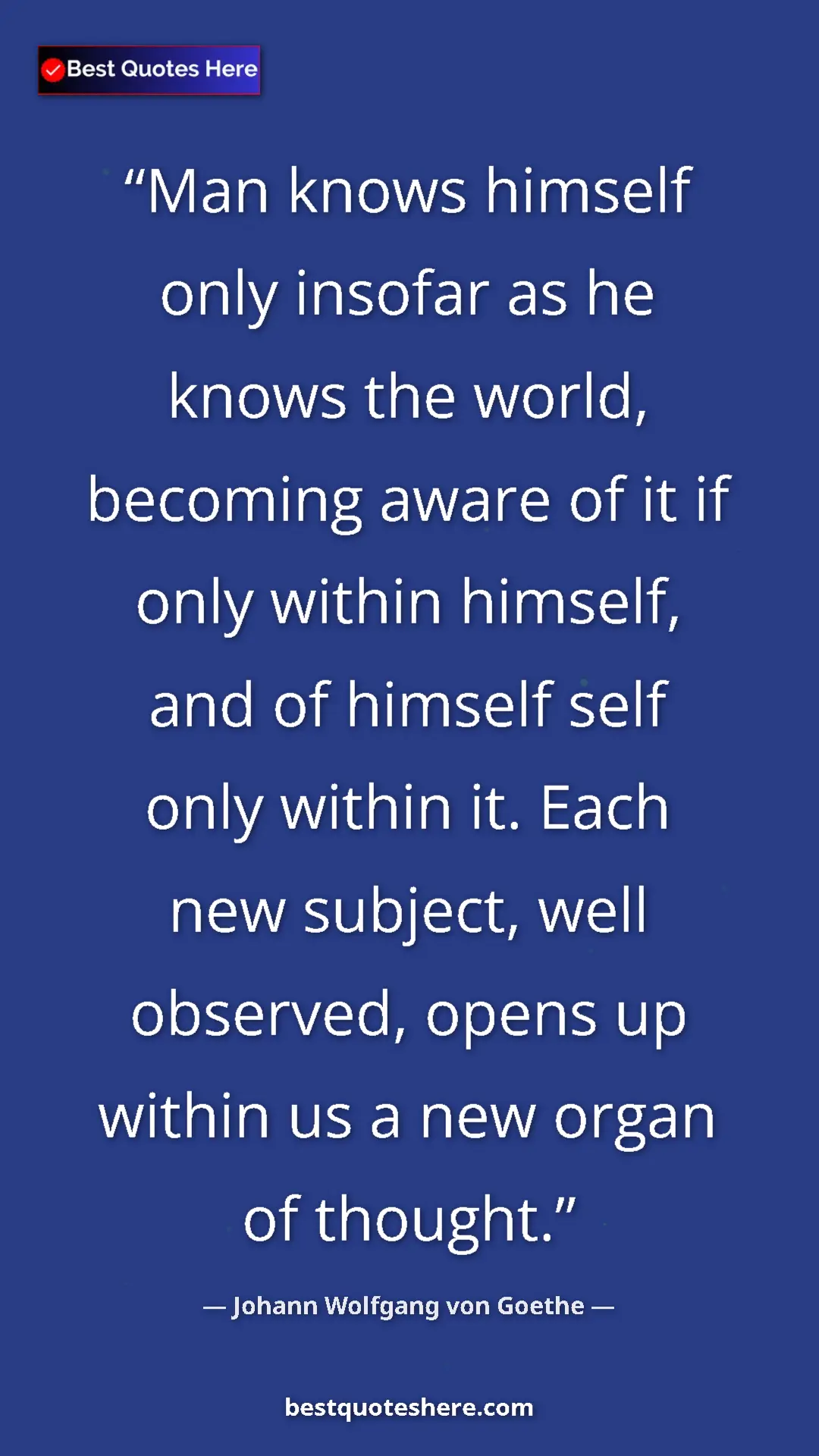 Pinterest quote poster by Johann Wolfgang von Goethe: "Man knows himself only insofar as he knows the world,..."