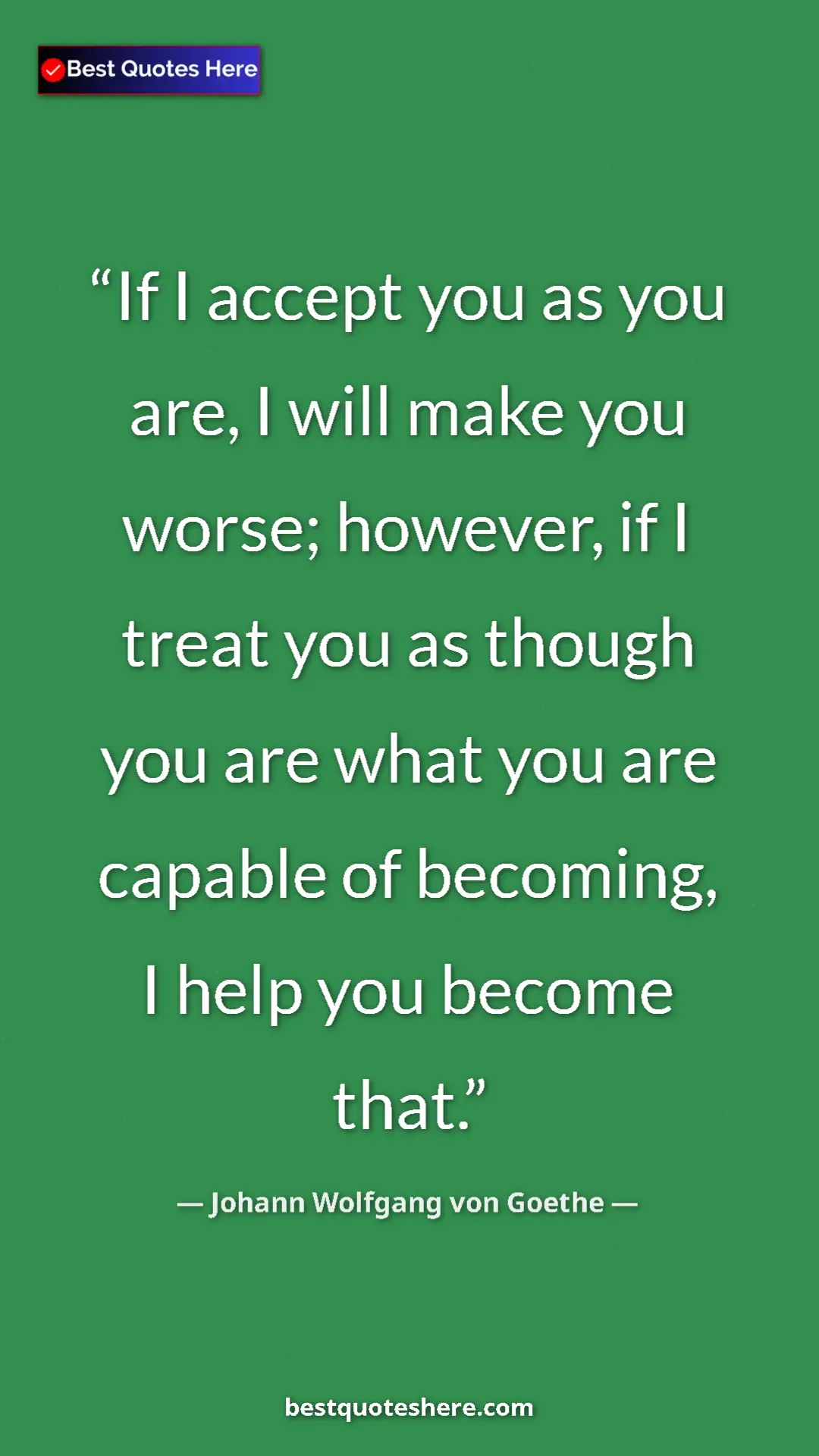 Pinterest quote poster by Johann Wolfgang von Goethe: "If I accept you as you are, I will make you worse; however,..."