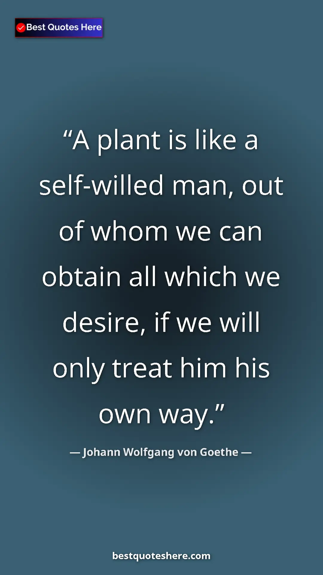 Pinterest quote poster by Johann Wolfgang von Goethe: "A plant is like a self-willed man, out of whom we can..."
